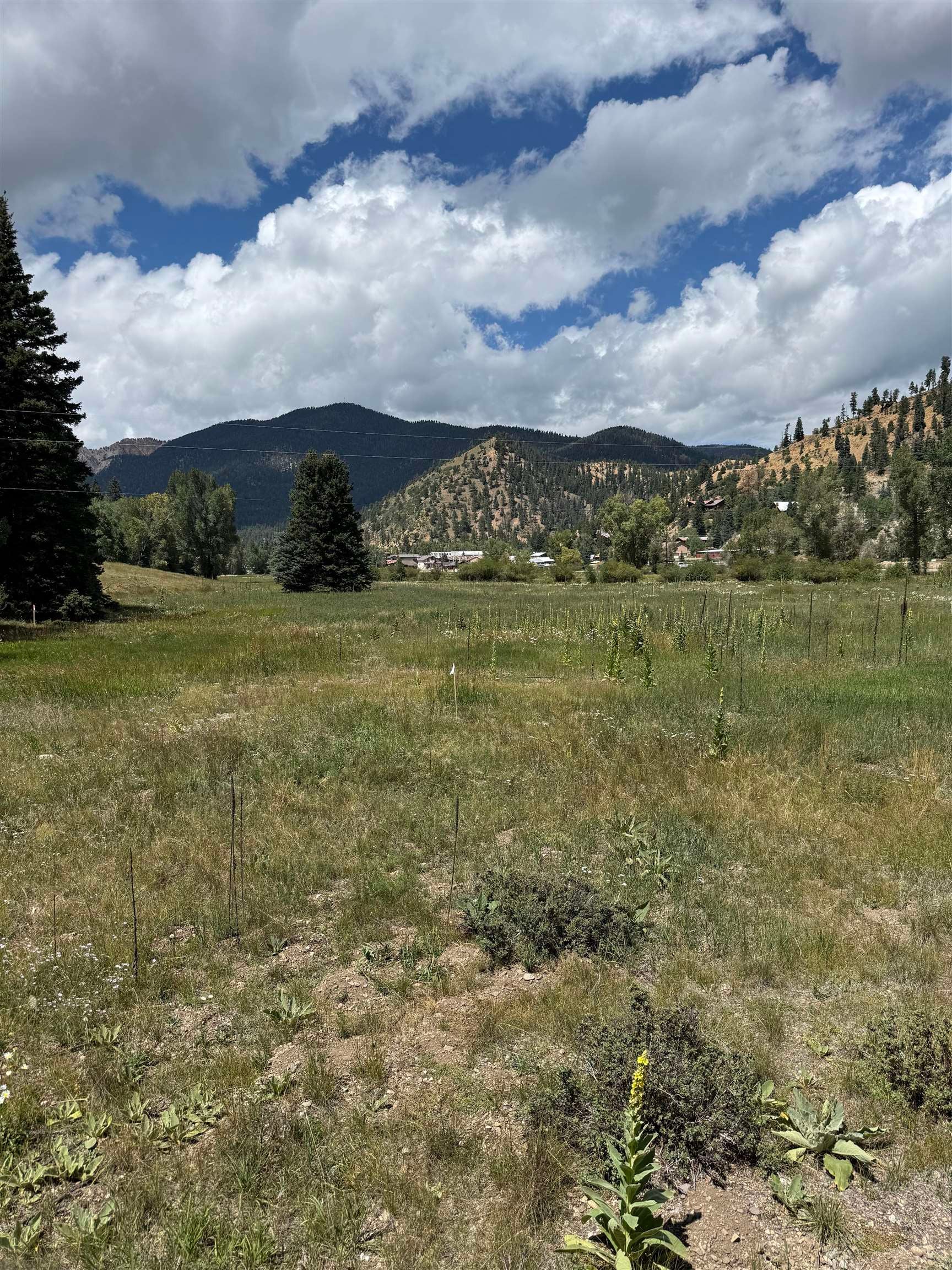 Lot 11 Riverside Court Red River, NM 87558 - Photo 1 of 4