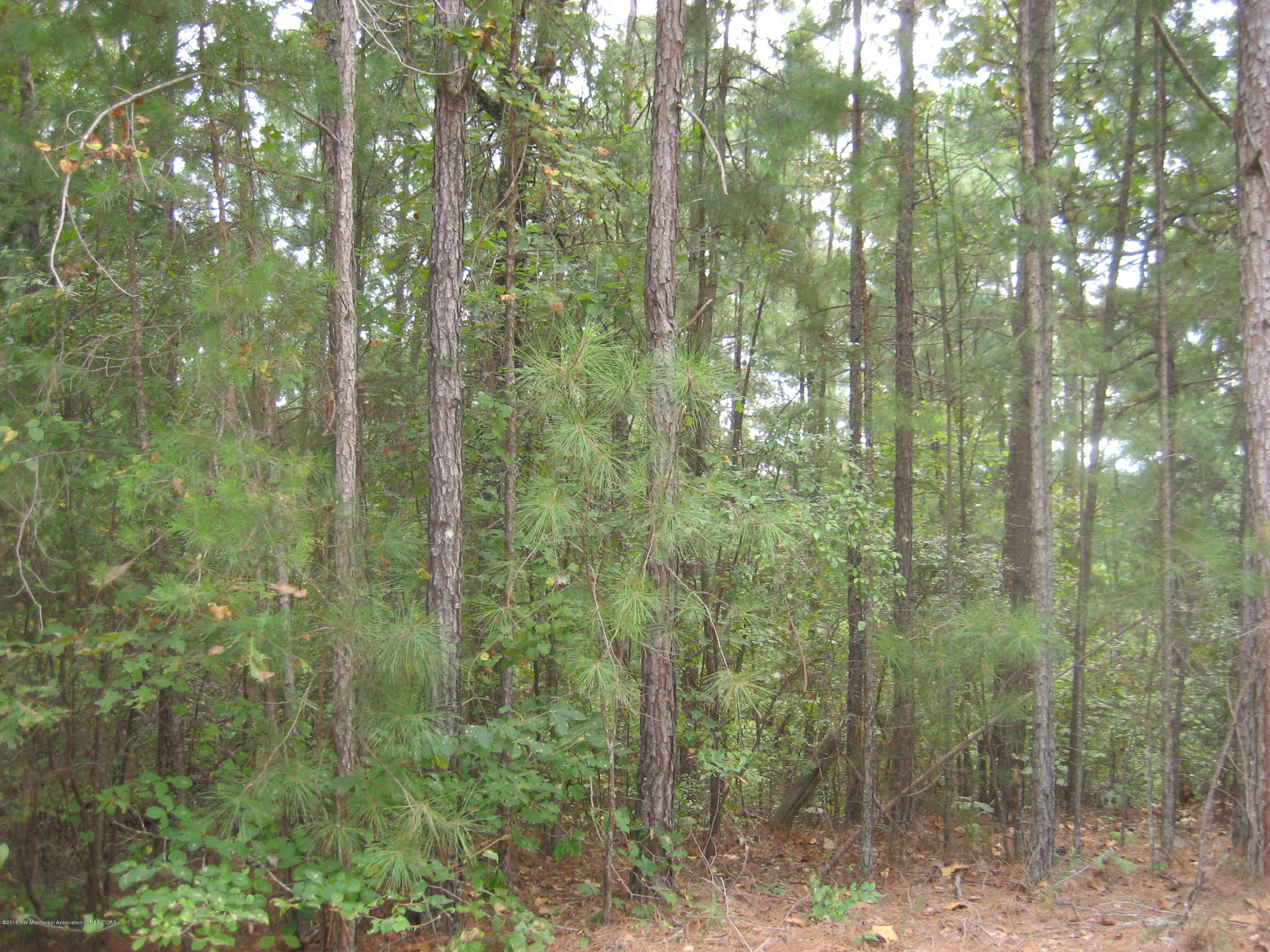 6 Chewalla Lake Road Holly Springs, MS 38635 - Photo 1 of 12 Chewalla Lake Lot 6 017