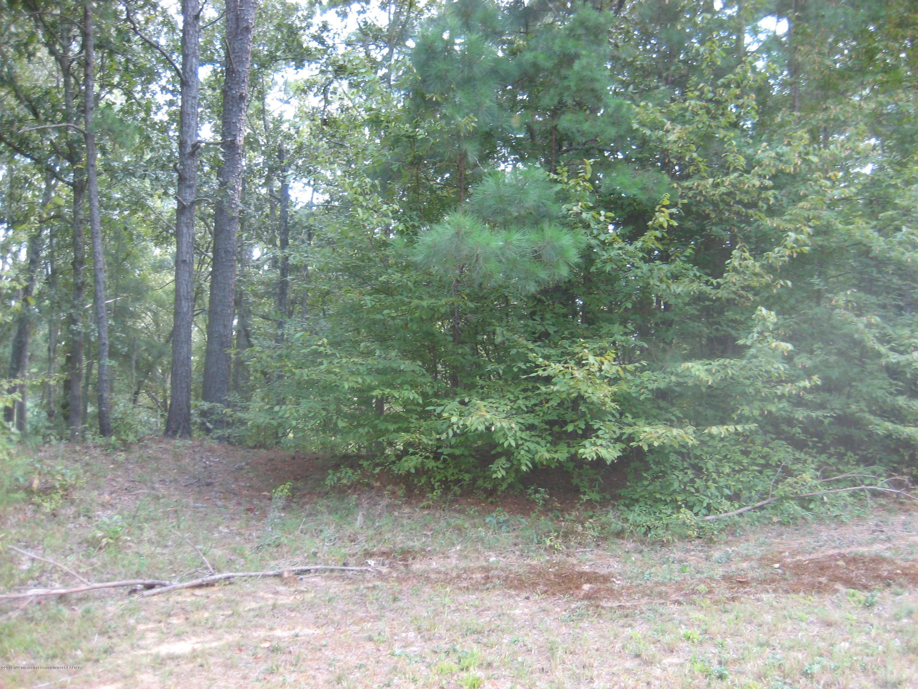 6 Chewalla Lake Road Holly Springs, MS 38635 - Photo 11 of 12 untitled5