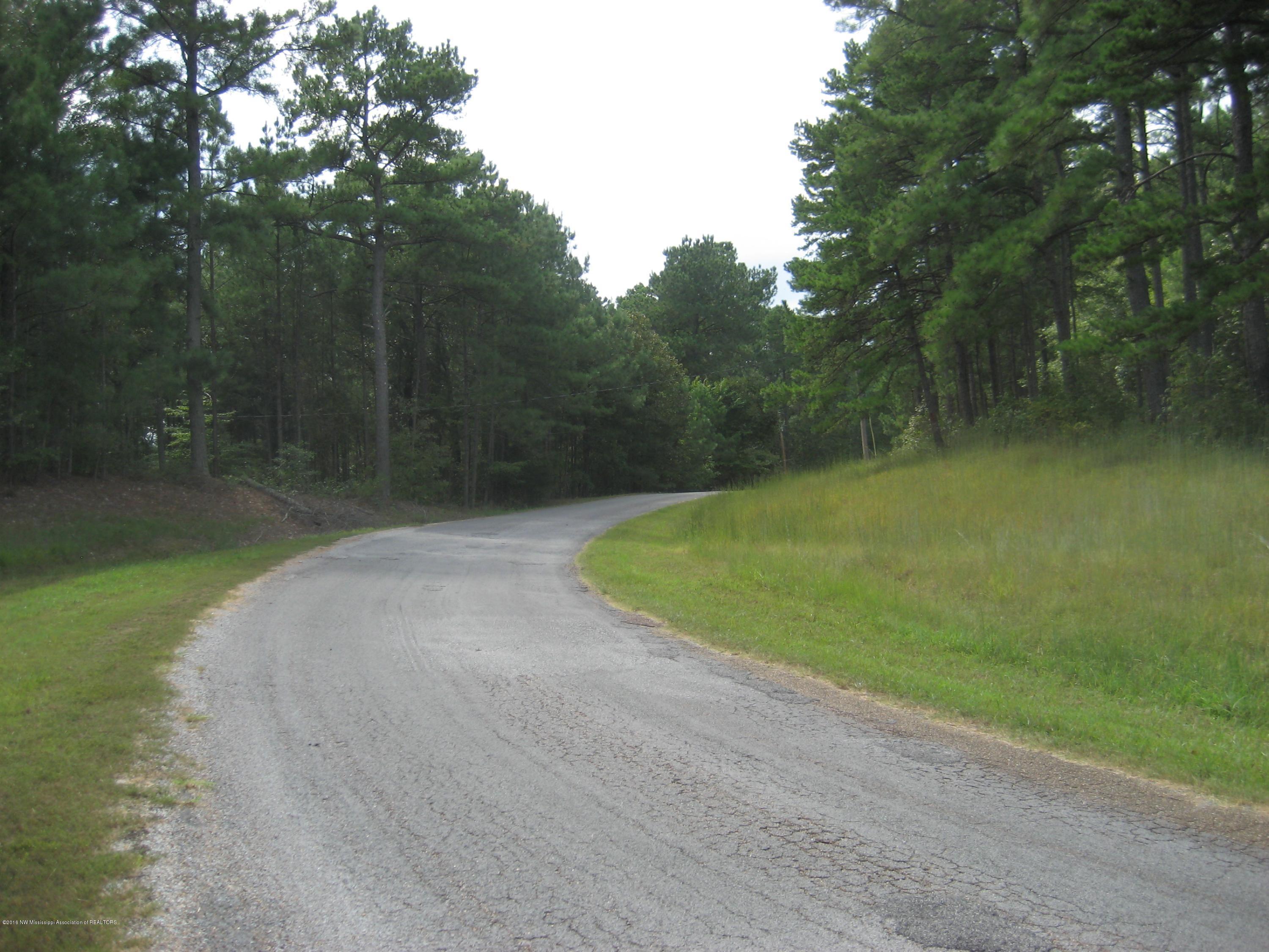 6 Chewalla Lake Road Holly Springs, MS 38635 - Photo 12 of 12 untitled6