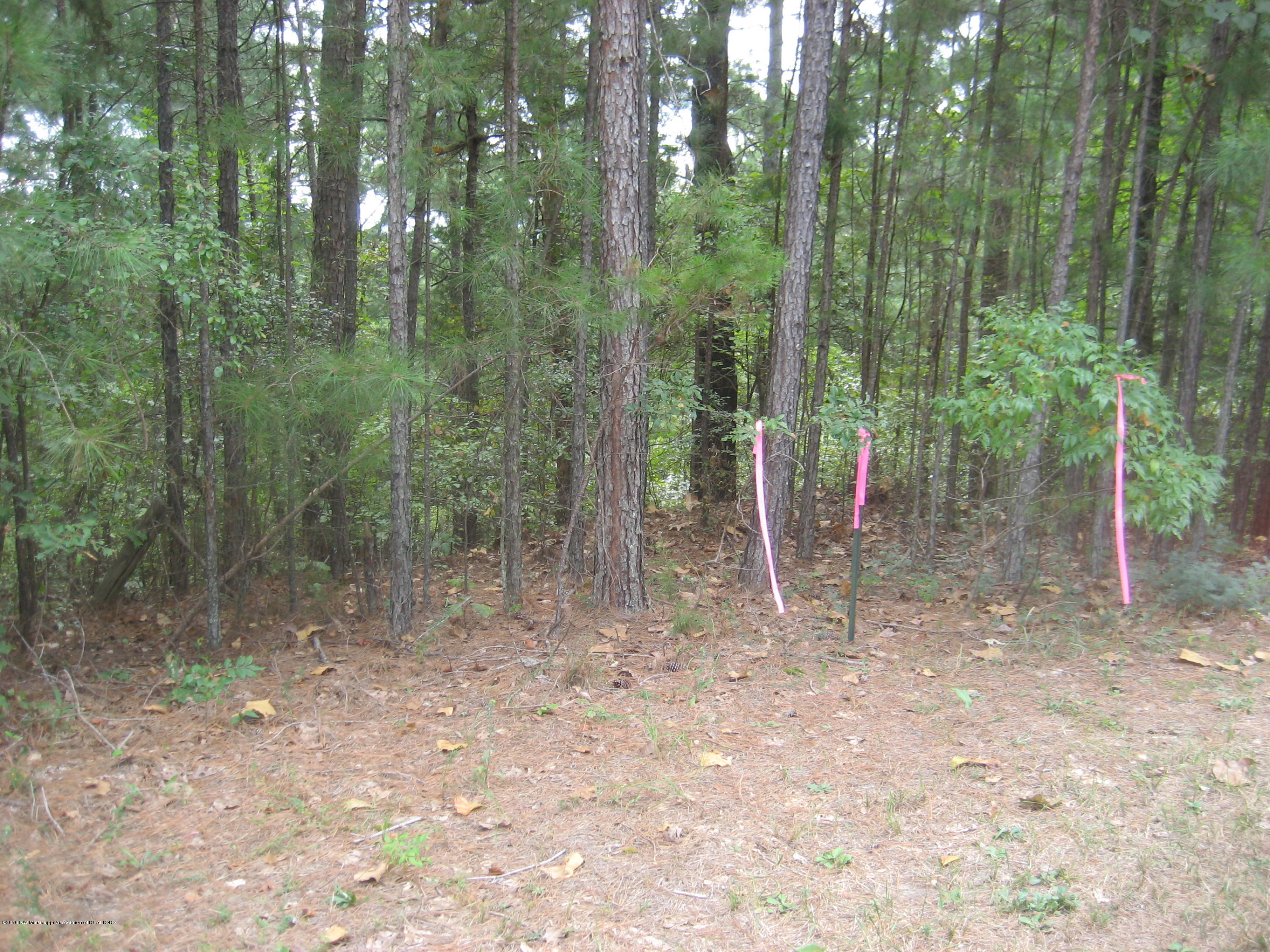 6 Chewalla Lake Road Holly Springs, MS 38635 - Photo 2 of 12 Chewalla Lake Lot 6 018