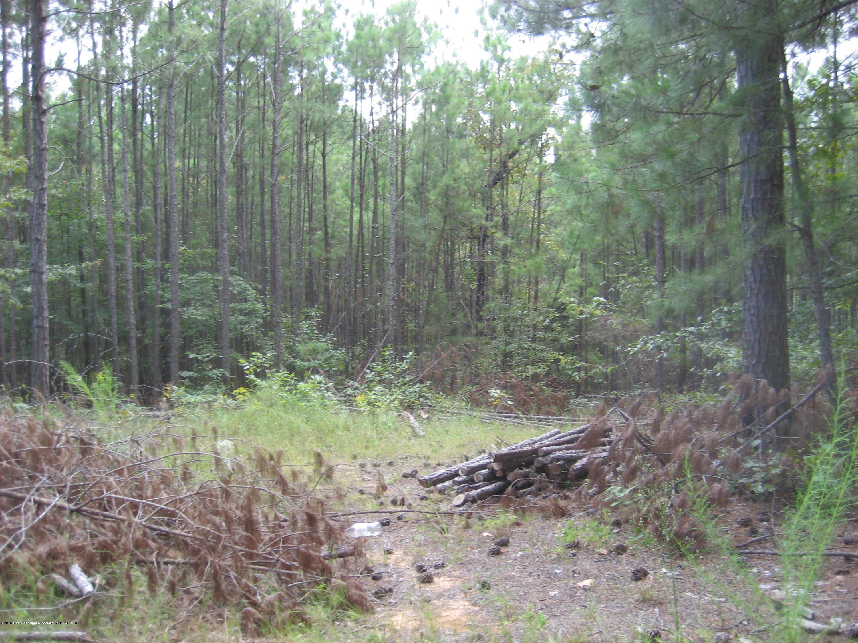 6 Chewalla Lake Road Holly Springs, MS 38635 - Photo 3 of 12 Chewalla Lake Lot 6 024