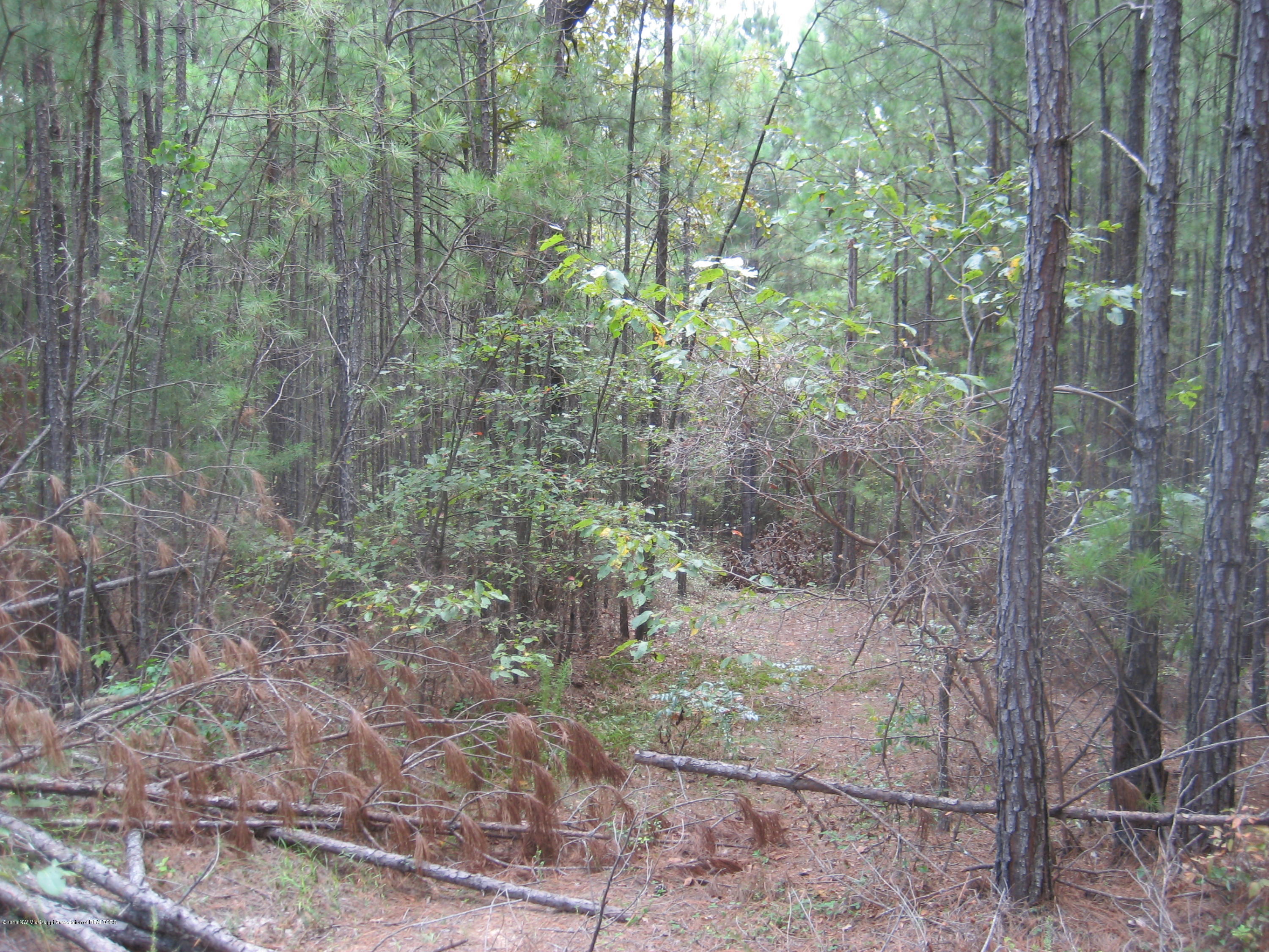 6 Chewalla Lake Road Holly Springs, MS 38635 - Photo 4 of 12 Chewalla Lake Lot 6 025