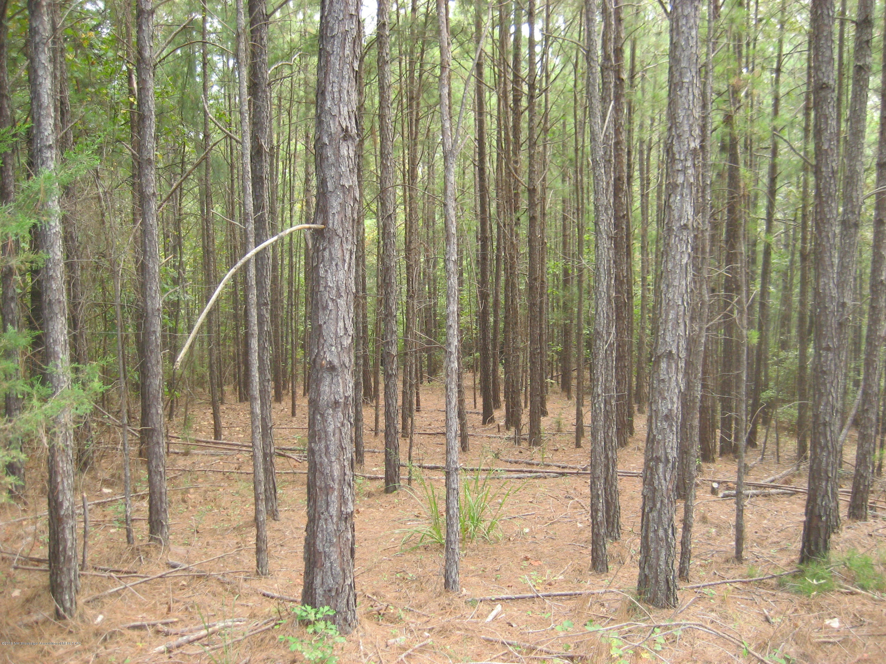6 Chewalla Lake Road Holly Springs, MS 38635 - Photo 5 of 12 Chewalla Lake Lot 6 026