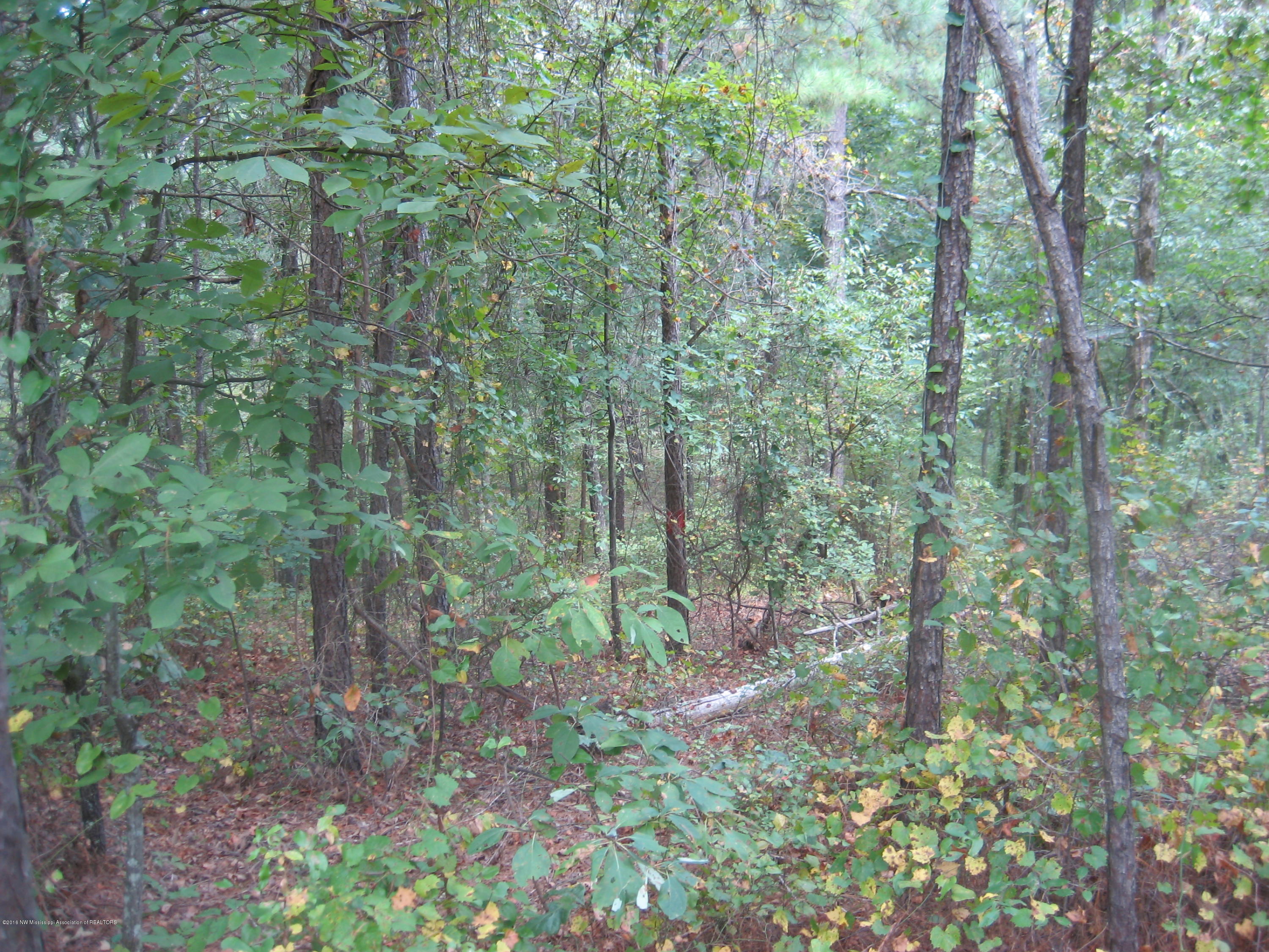 6 Chewalla Lake Road Holly Springs, MS 38635 - Photo 6 of 12 Chewalla Lake Lot 6 028
