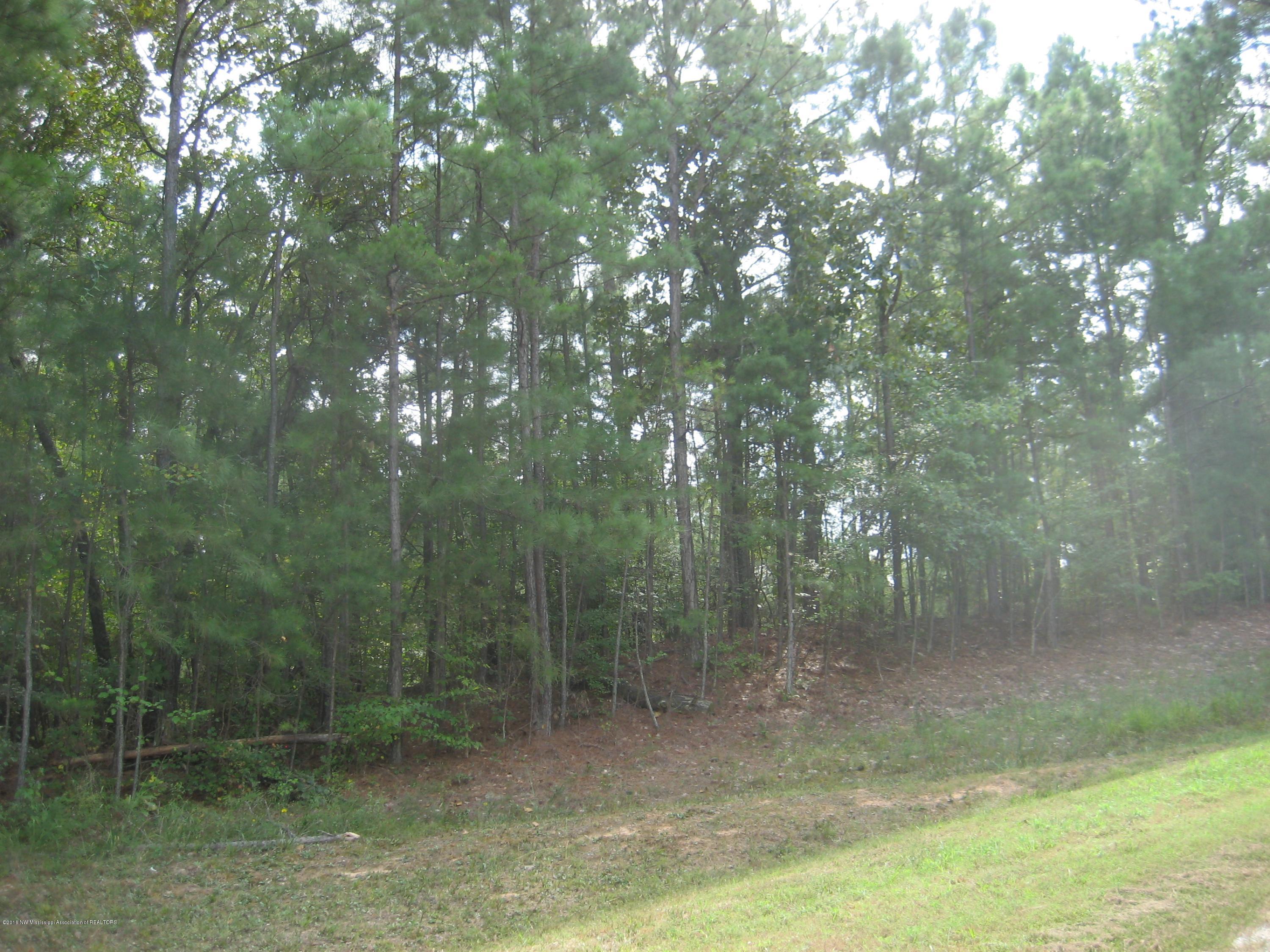 6 Chewalla Lake Road Holly Springs, MS 38635 - Photo 7 of 12 untitled