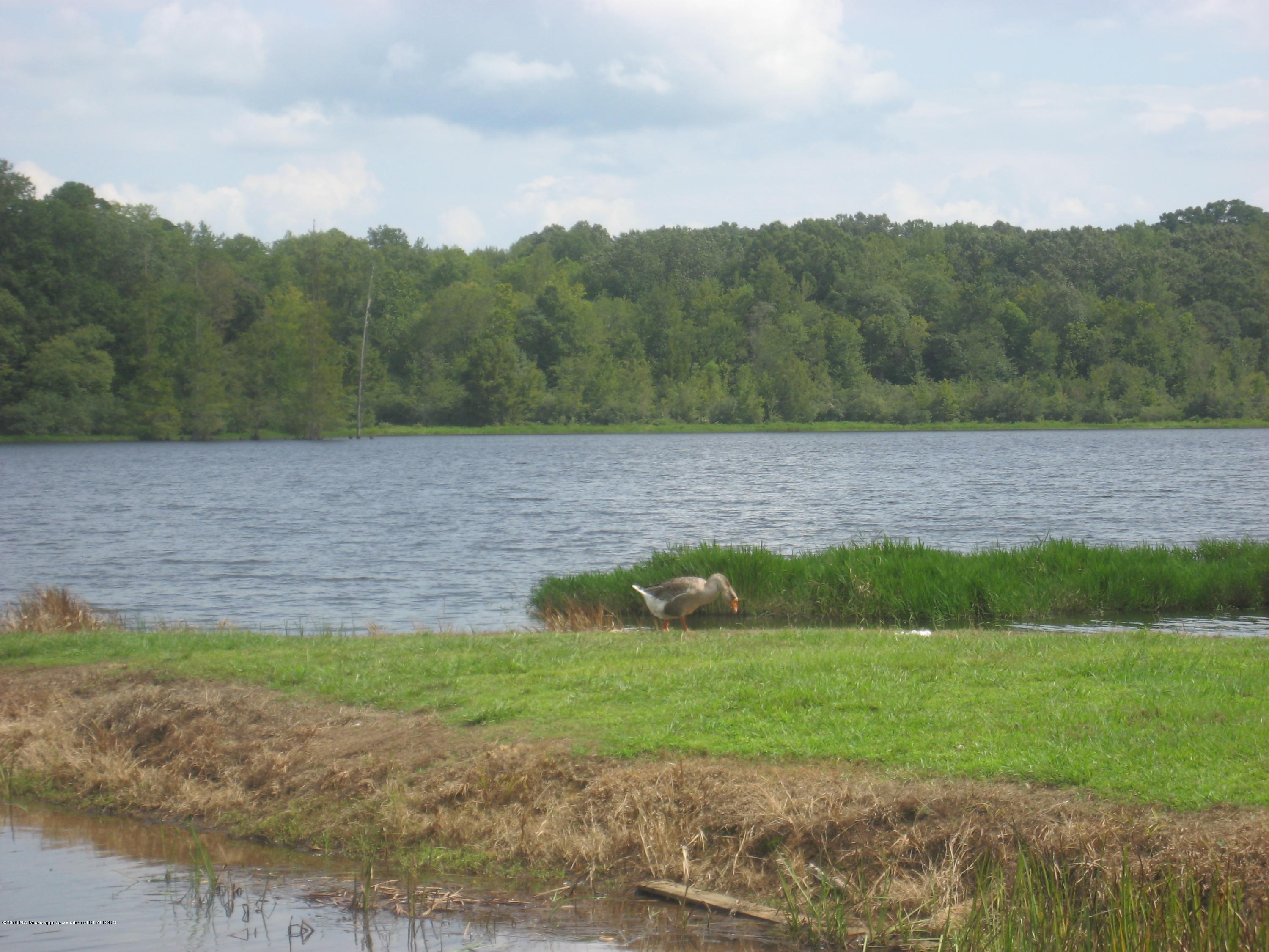 6 Chewalla Lake Road Holly Springs, MS 38635 - Photo 9 of 12 untitled3