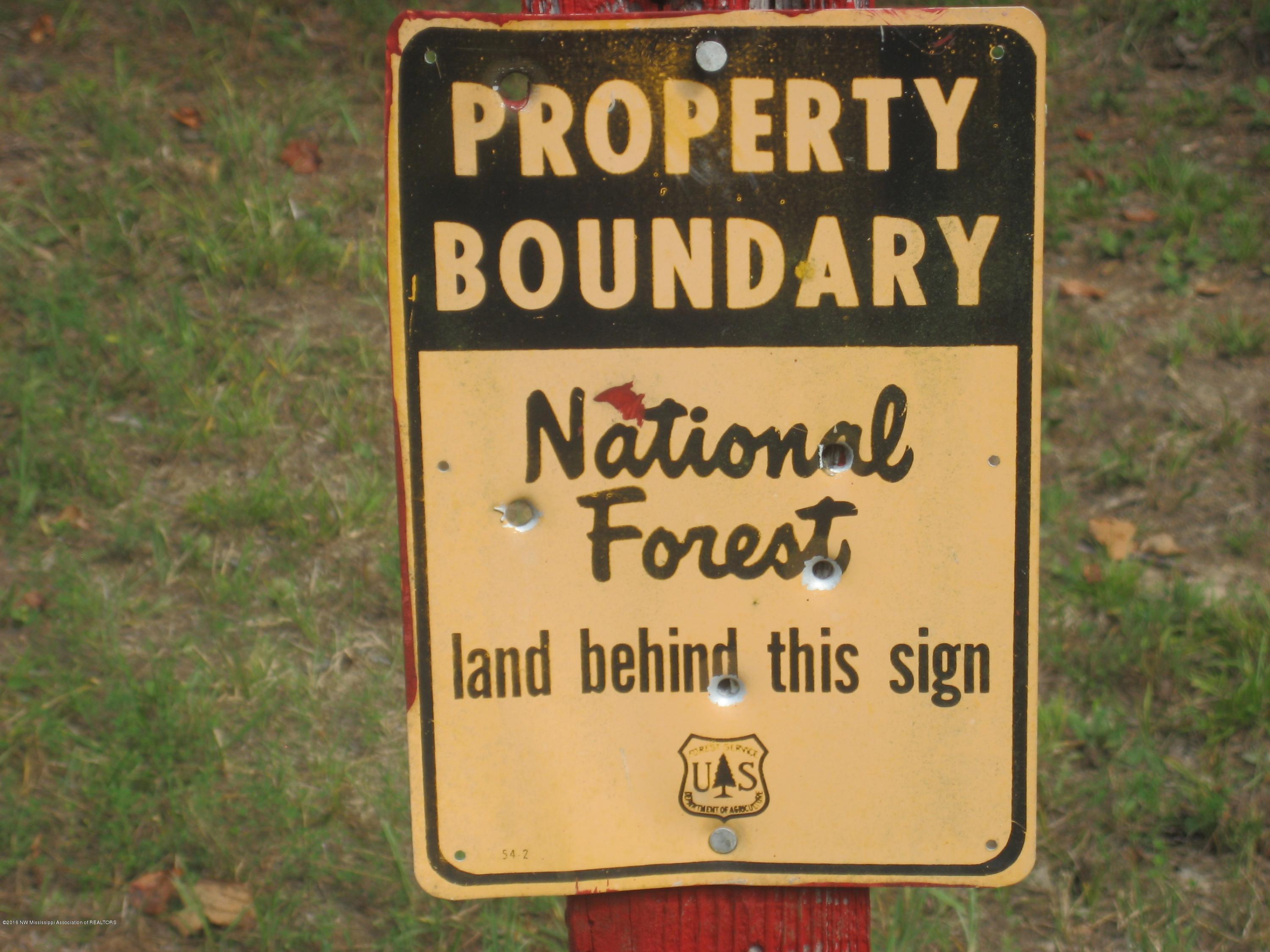 6 Chewalla Lake Road Holly Springs, MS 38635 - Photo 10 of 12 untitled4