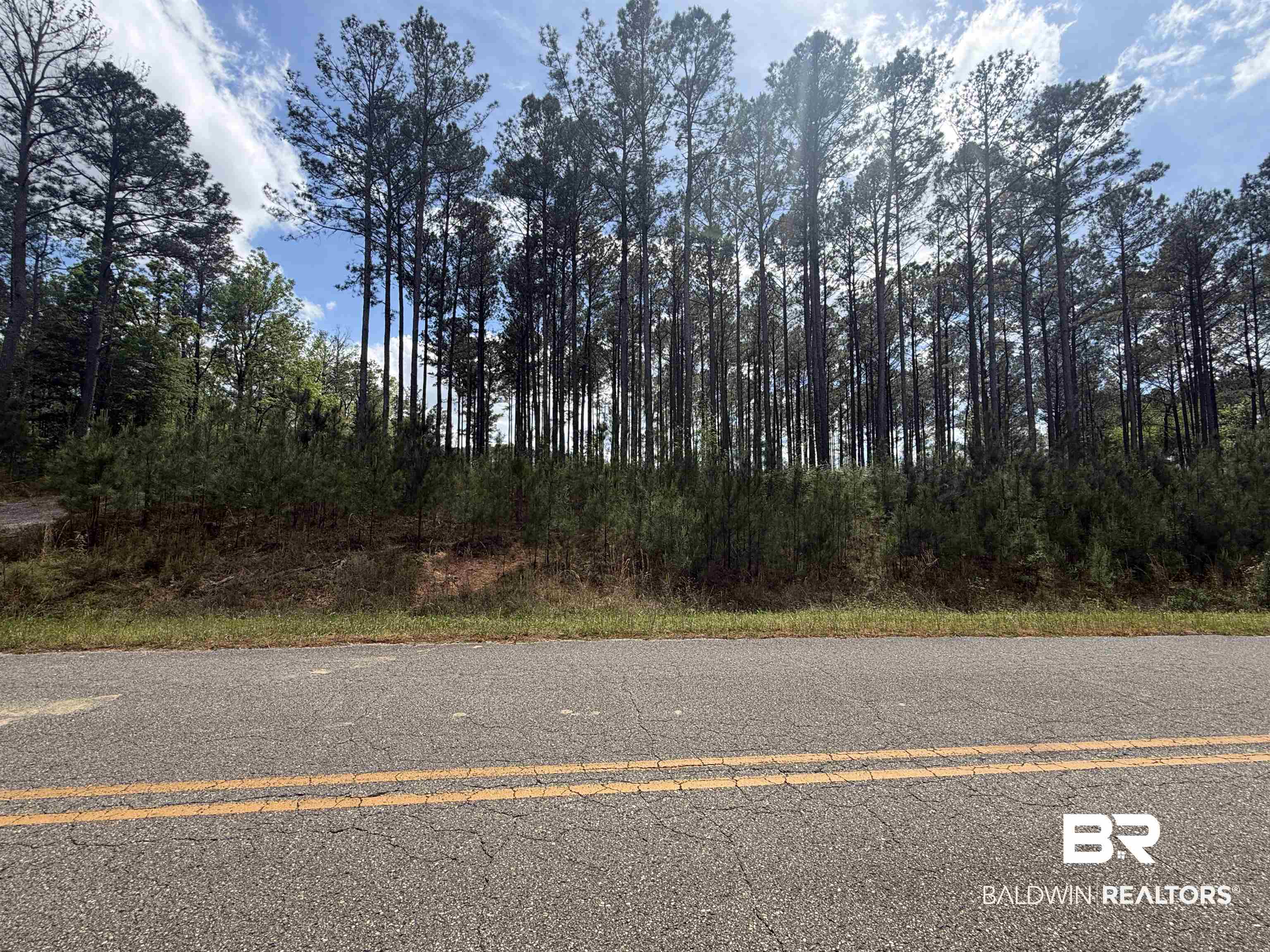 Tbd Old Drive In Road Grove Hill, AL 36451 - Photo 2 of 9 View of asphalt road