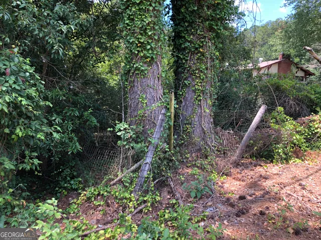 $110,000 | 1222 East Tugalo Street, Toccoa, GA 30577