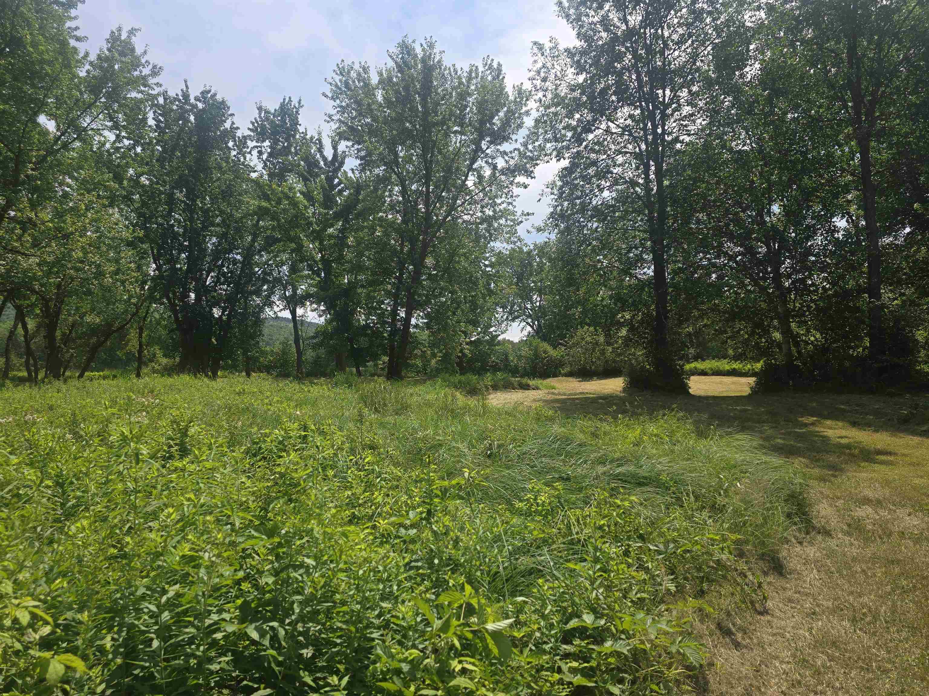 0 Braggs Bay Off Errol, NH 03579 - Photo 13 of 33