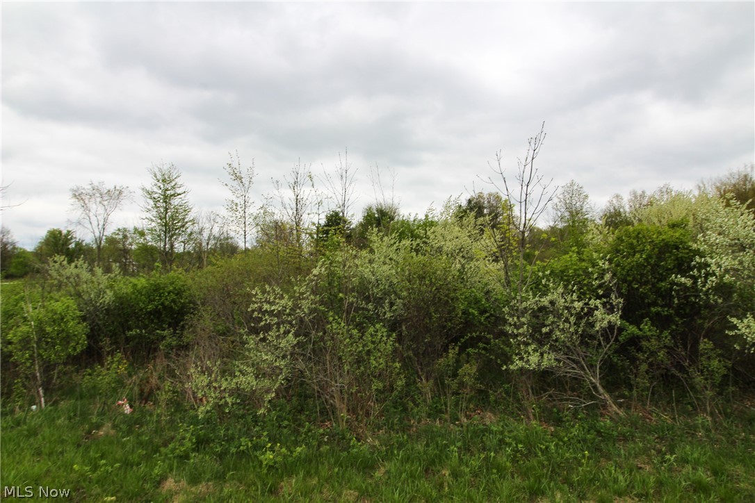 Earick Road Mansfield, OH 44903 - Photo 3 of 15 Gallery Image 3