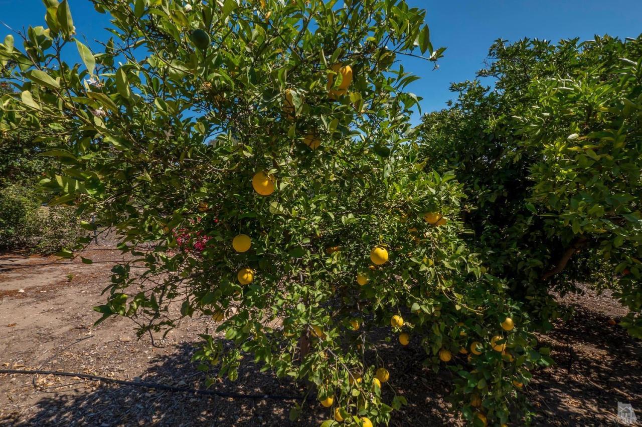 4536 Donlon Road Somis, CA 93066 - Photo 50 of 53 Additional Photo
