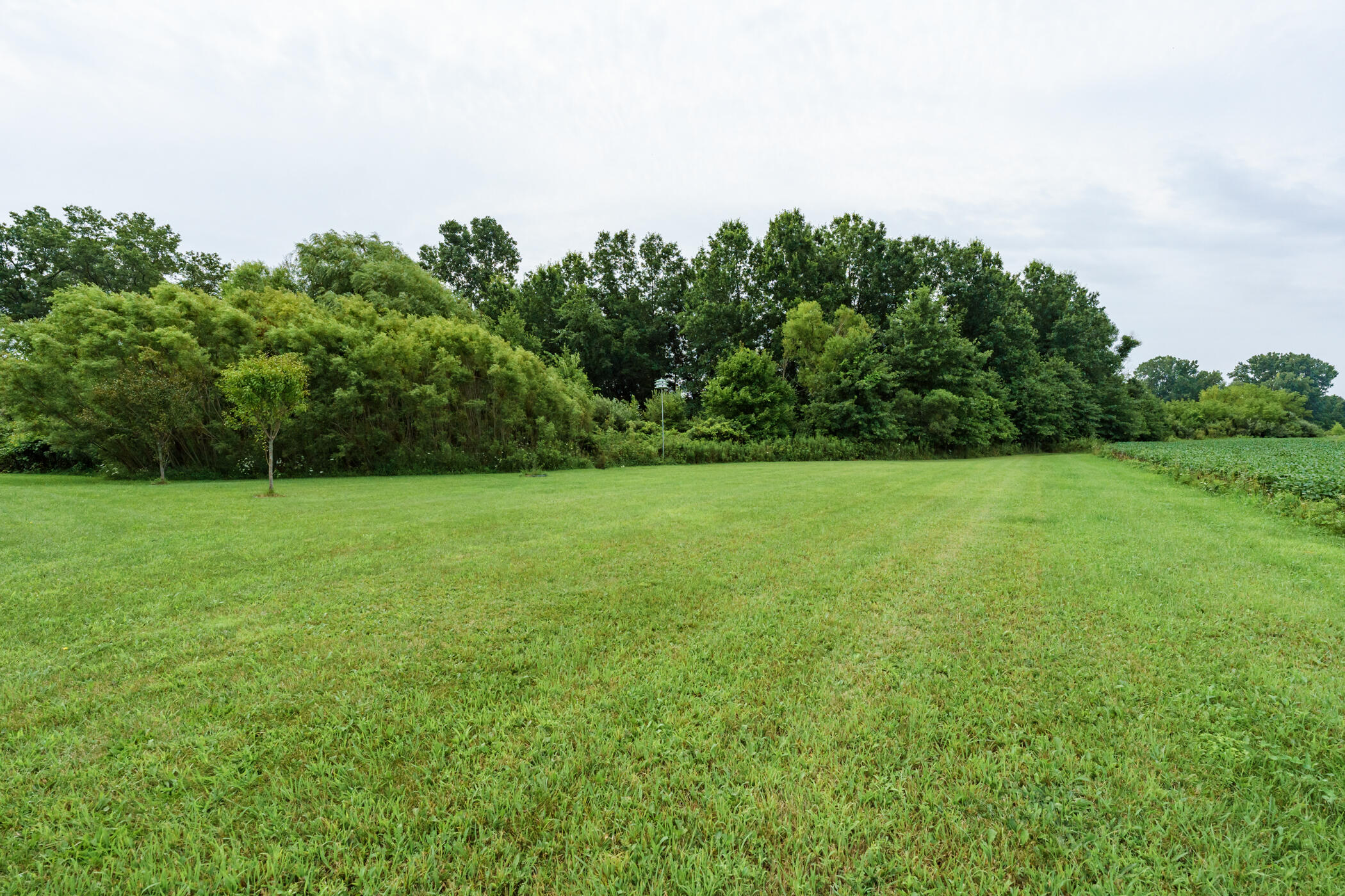 15482 C Drive South Marshall, MI 49068 - Photo 22 of 39 Backyard