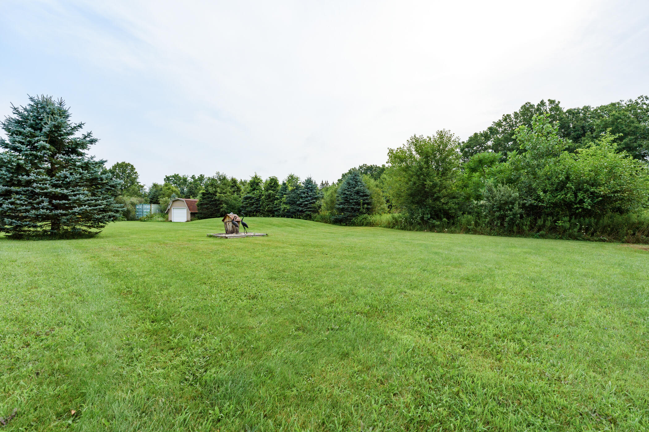 15482 C Drive South Marshall, MI 49068 - Photo 26 of 39 Side Yard