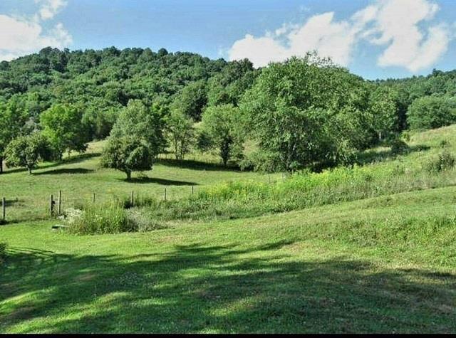 6071 Carsonville Road Fries, VA 24330 - Photo 8 of 28 Gallery Image 8