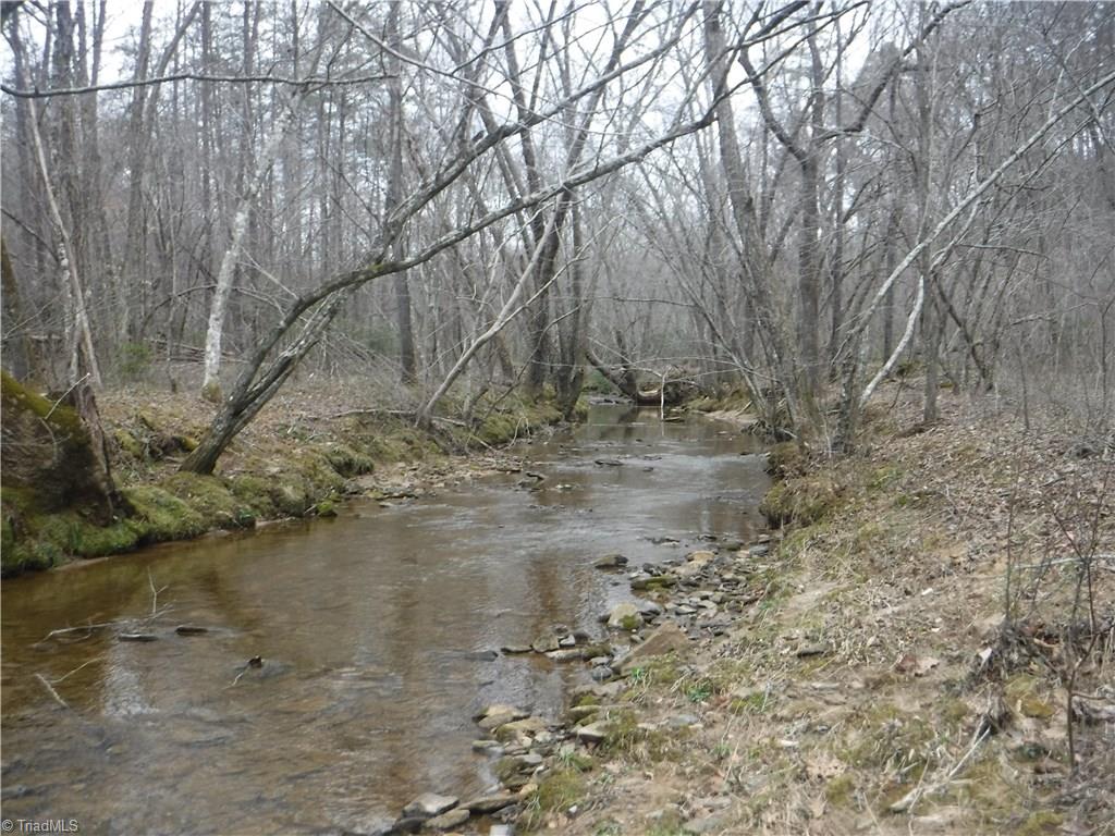 1850 Jackson Road Westfield, NC 27053 - Photo 11 of 12 Pinch Gut Creek