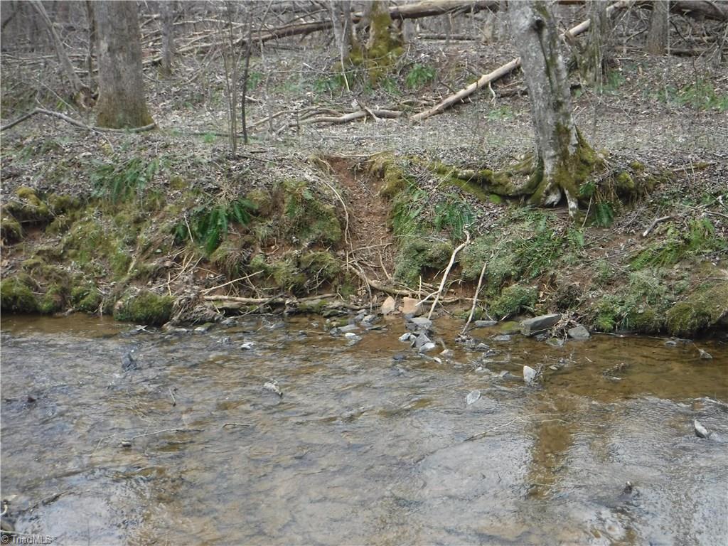 1850 Jackson Road Westfield, NC 27053 - Photo 12 of 12 The Well used Deer Path across the creek