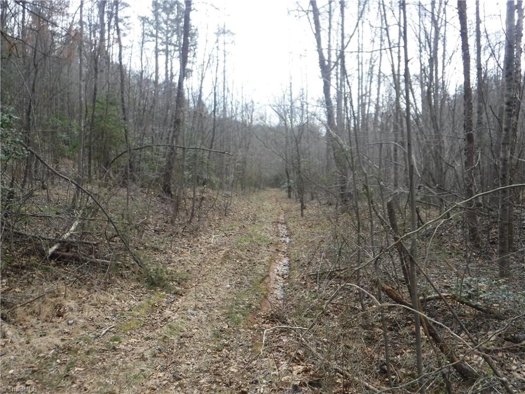 The Soil Road