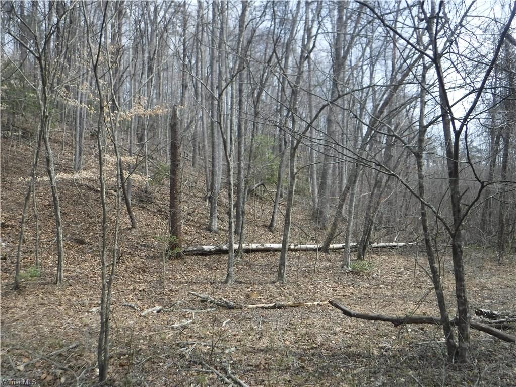 1850 Jackson Road Westfield, NC 27053 - Photo 8 of 12 Looking up to the knoll on the north side