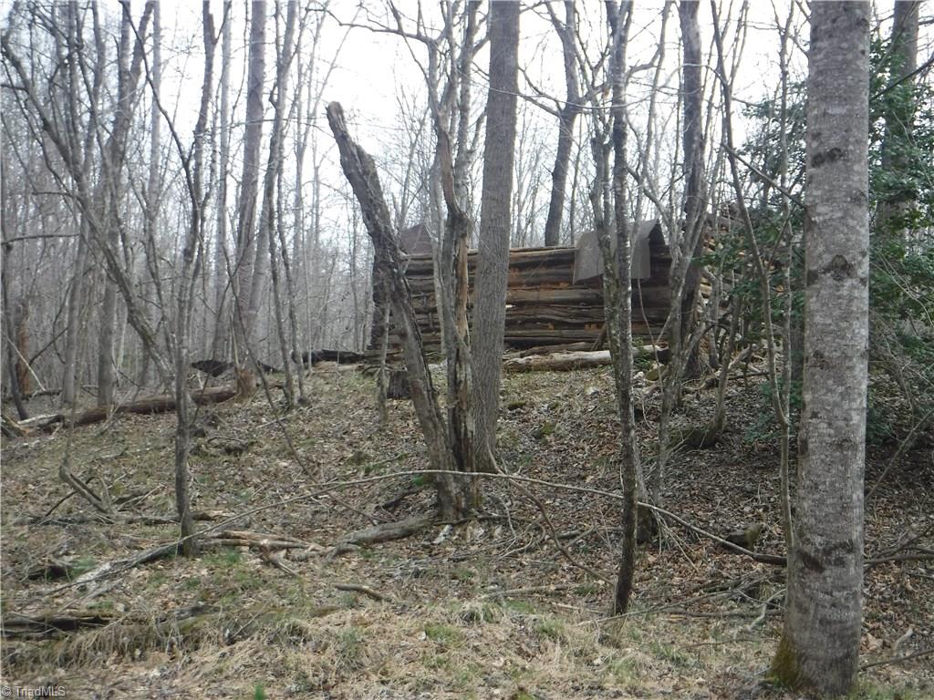 1850 Jackson Road Westfield, NC 27053 - Photo 9 of 12 Old Log Barn on a little hill at the Creek