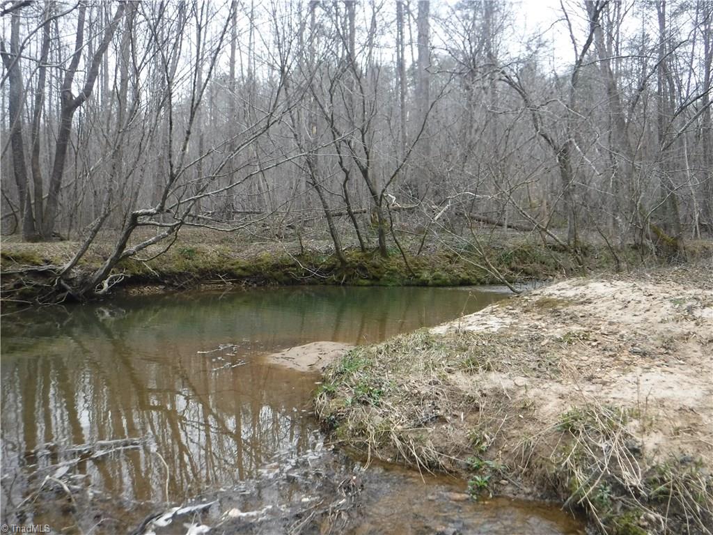 1850 Jackson Road Westfield, NC 27053 - Photo 10 of 12 The Swimming Hole in the bend of Pinch Gut Creek