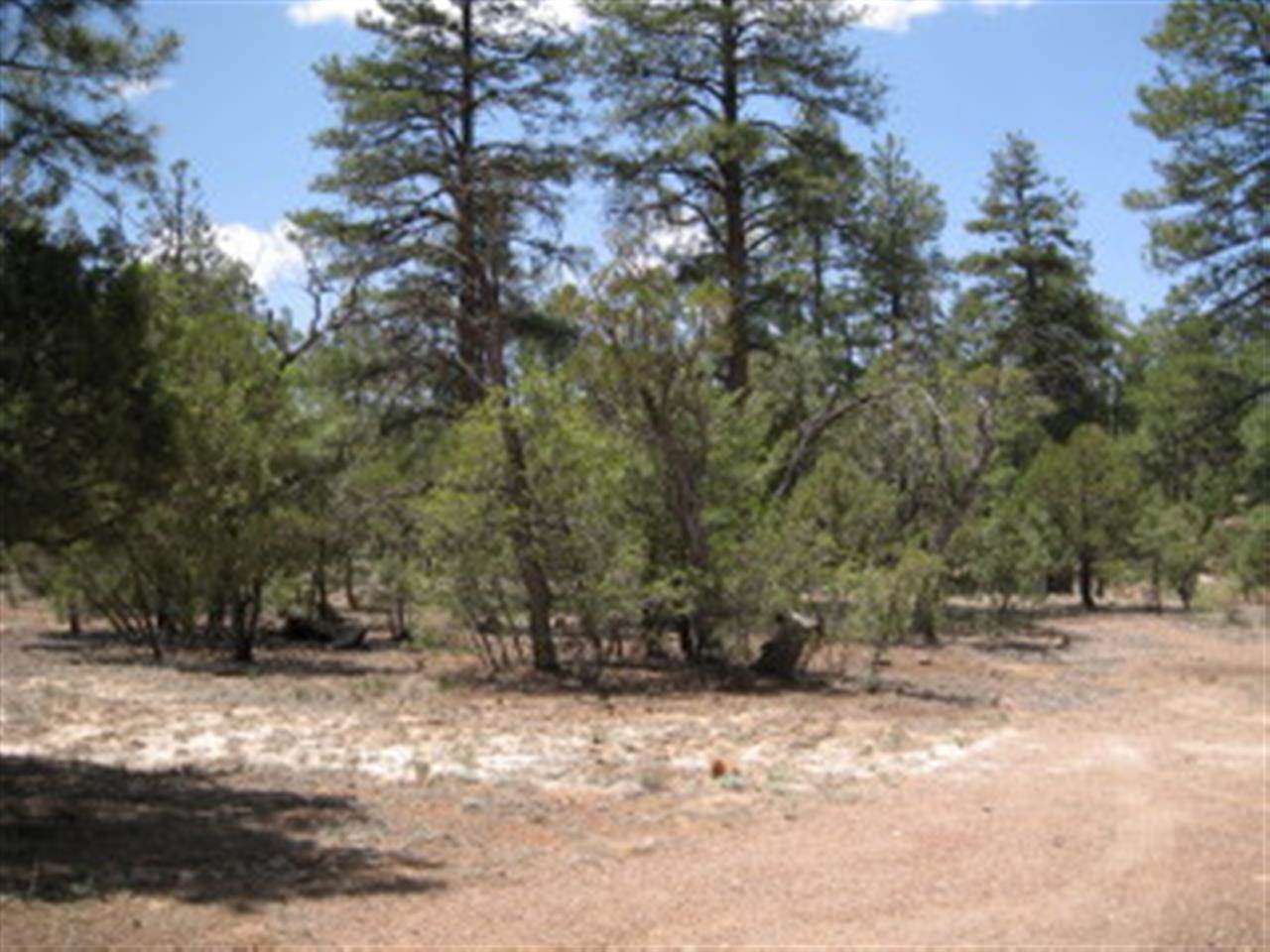 2091 Best Drive Overgaard, AZ 85933 - Photo 16 of 16
