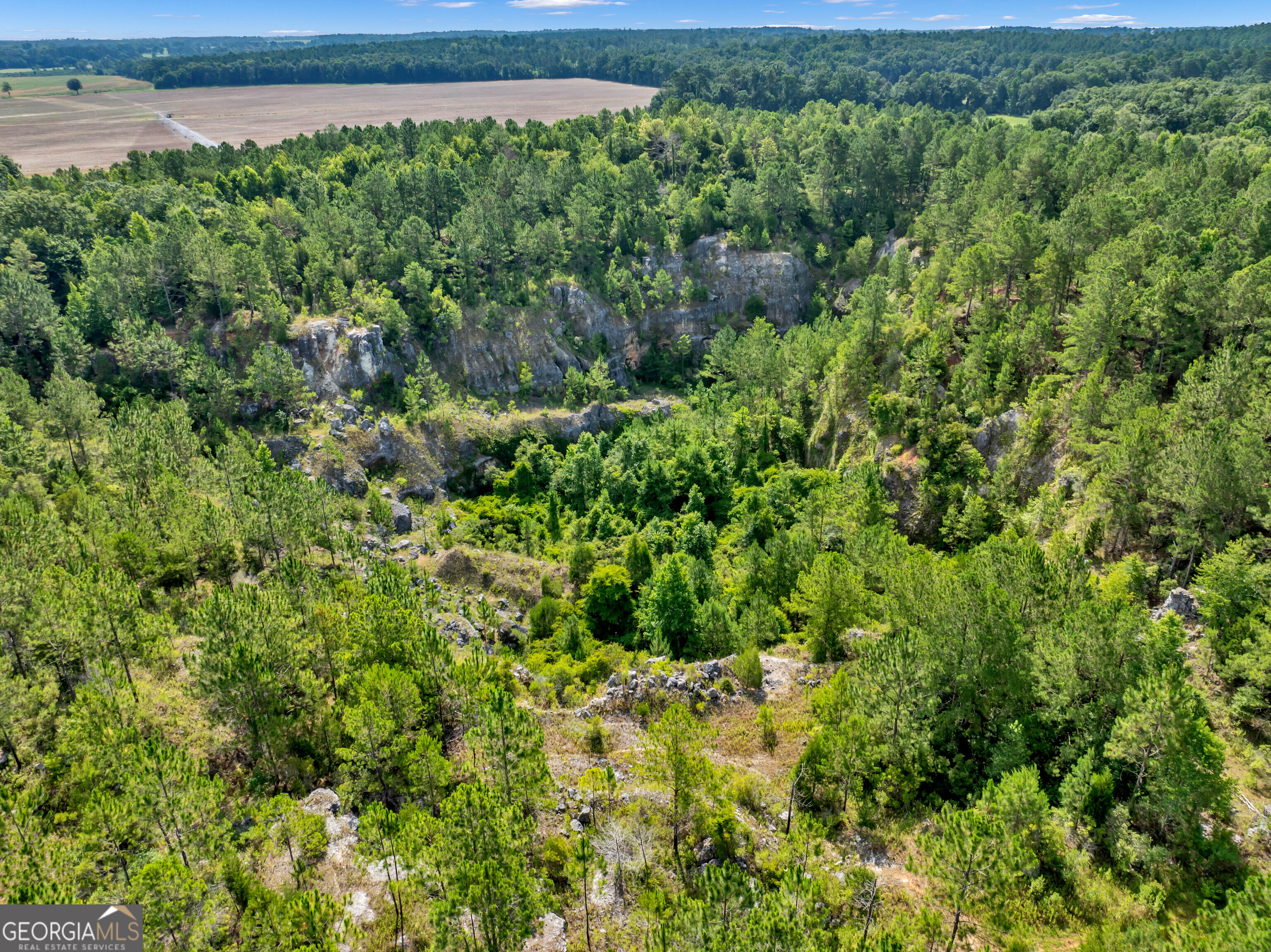 0 Harrell Road Whigham, GA 39897 - Photo 11 of 39 a view of a garden with a house