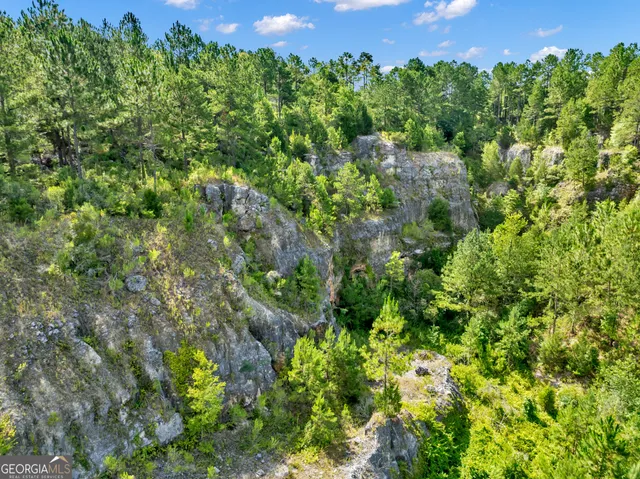 a view of a green field