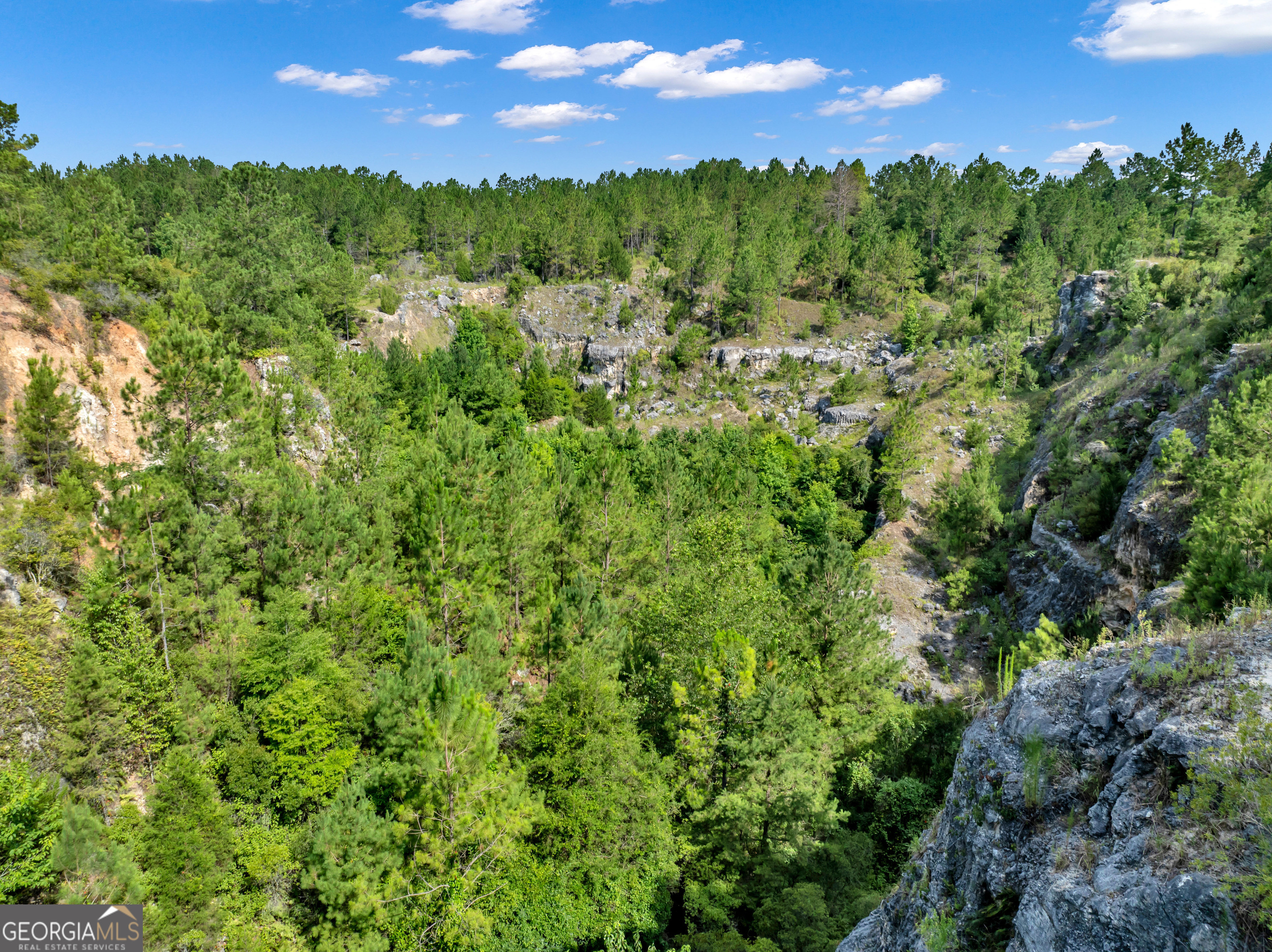 0 Harrell Road Whigham, GA 39897 - Photo 13 of 39 a view of a green field