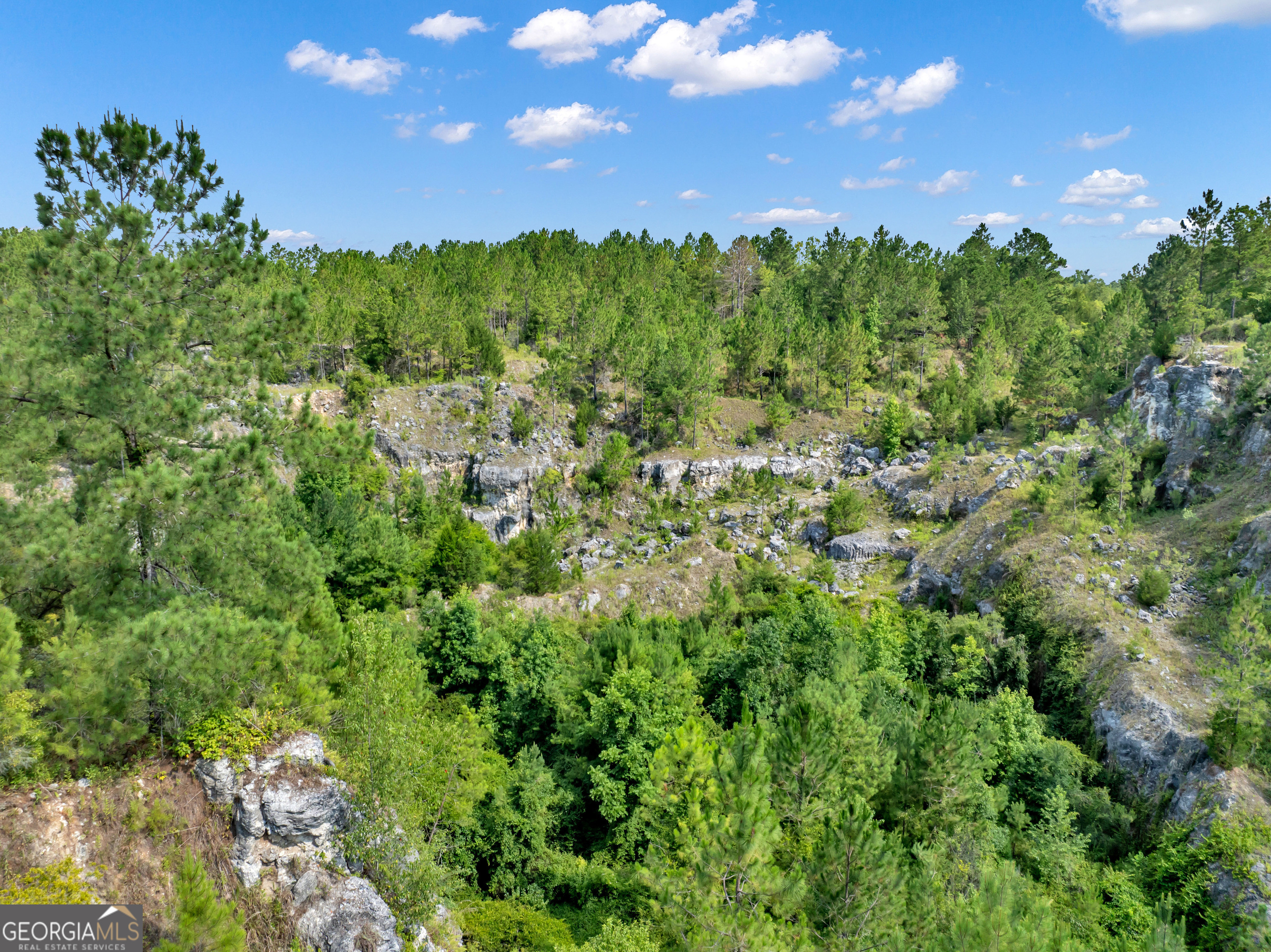 0 Harrell Road Whigham, GA 39897 - Photo 14 of 39 a view of a city