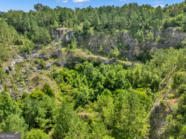 a view of a bunch of trees