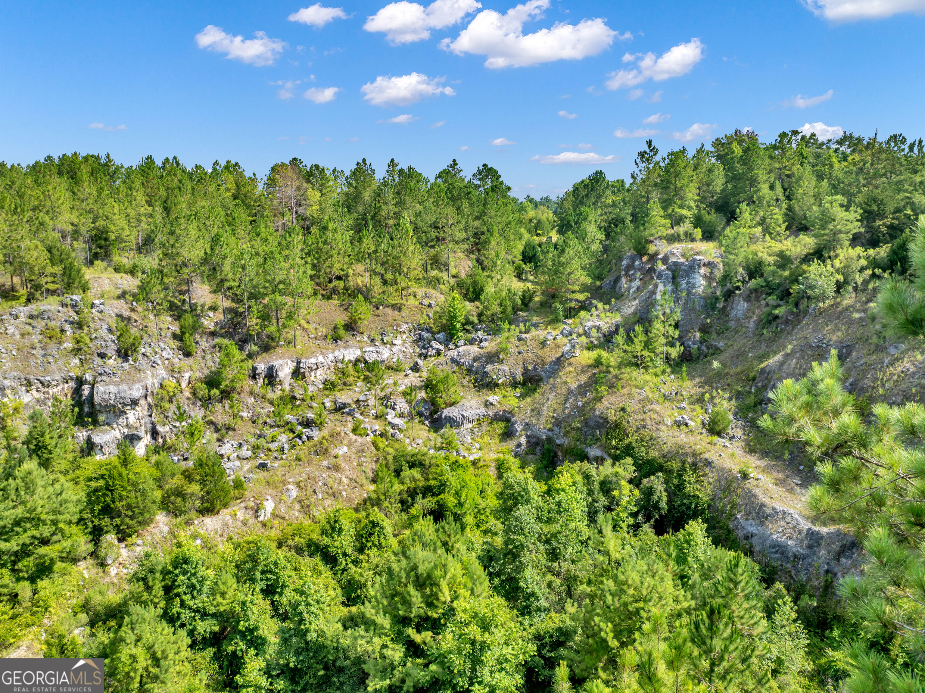 0 Harrell Road Whigham, GA 39897 - Photo 16 of 39 a view of a bunch of trees