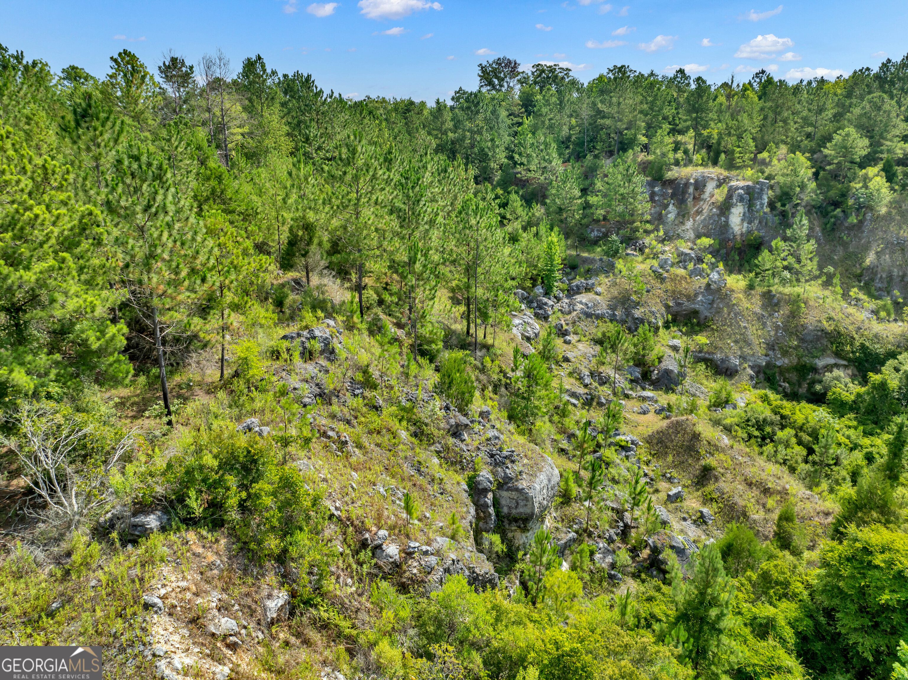 0 Harrell Road Whigham, GA 39897 - Photo 18 of 39