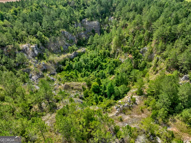 a view of a green yard