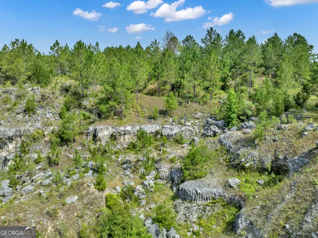 a view of a green field