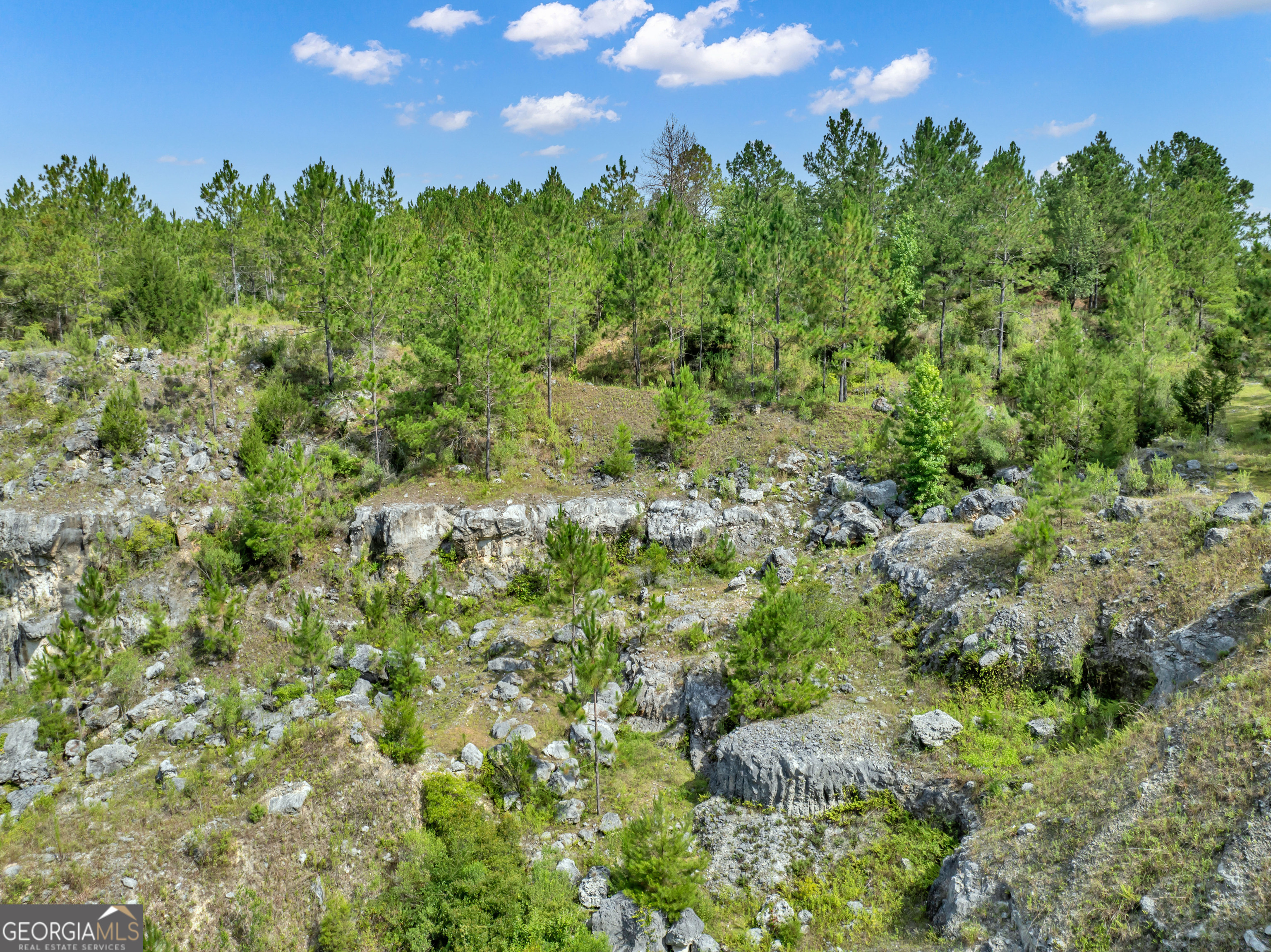 0 Harrell Road Whigham, GA 39897 - Photo 20 of 39 a view of a city