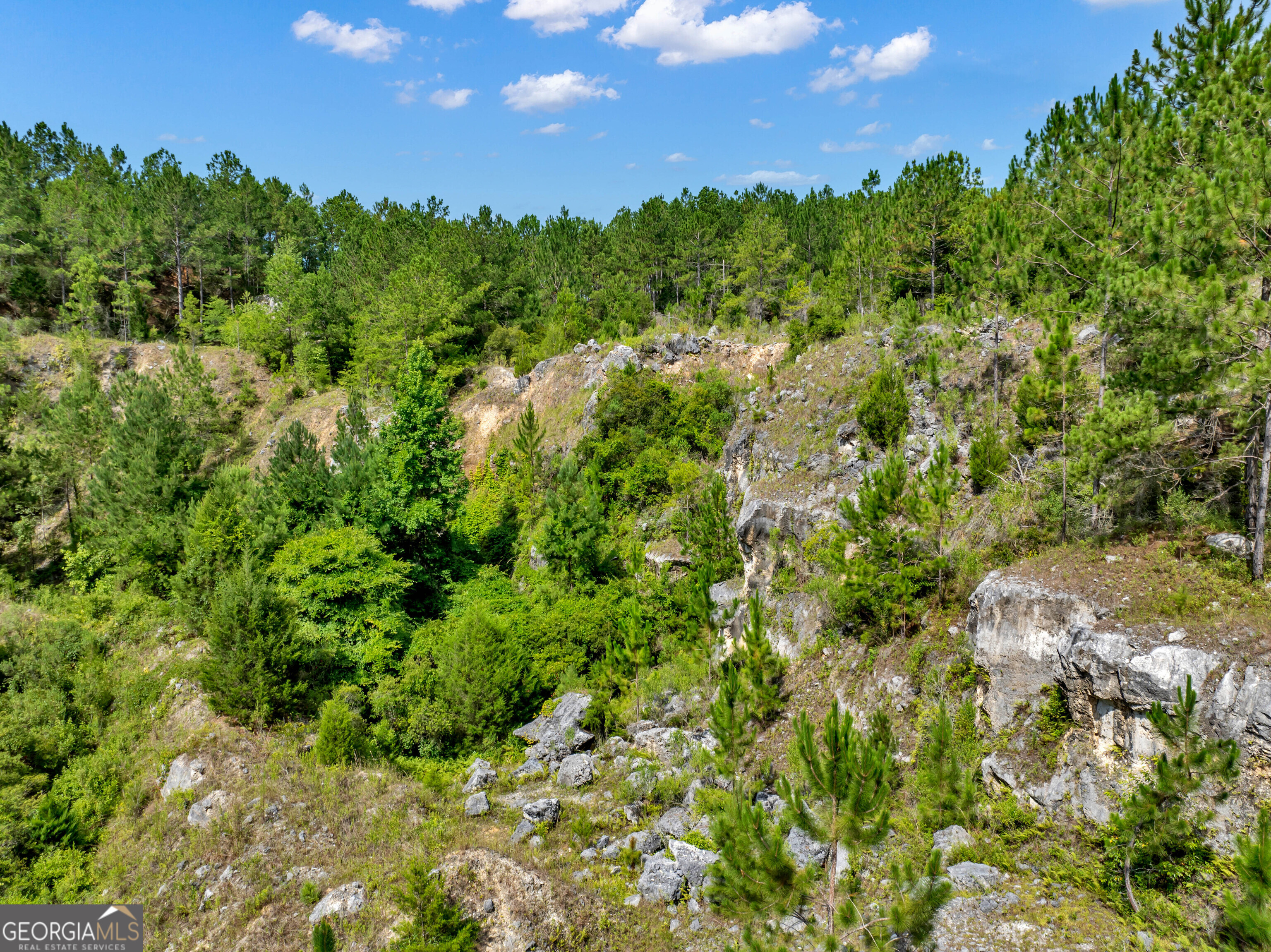 0 Harrell Road Whigham, GA 39897 - Photo 21 of 39 a view of a bunch of trees