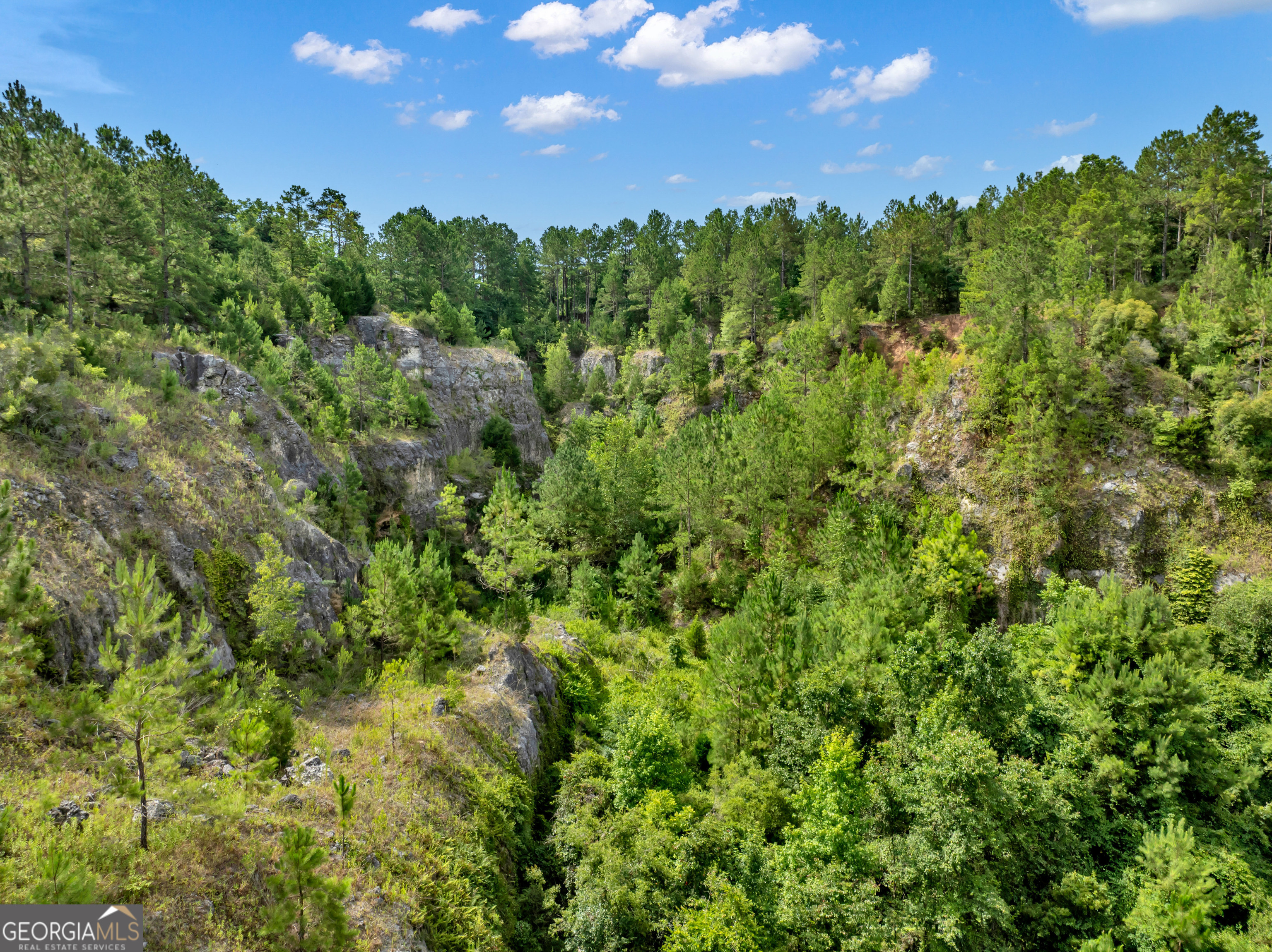 0 Harrell Road Whigham, GA 39897 - Photo 22 of 39 a view of a green yard