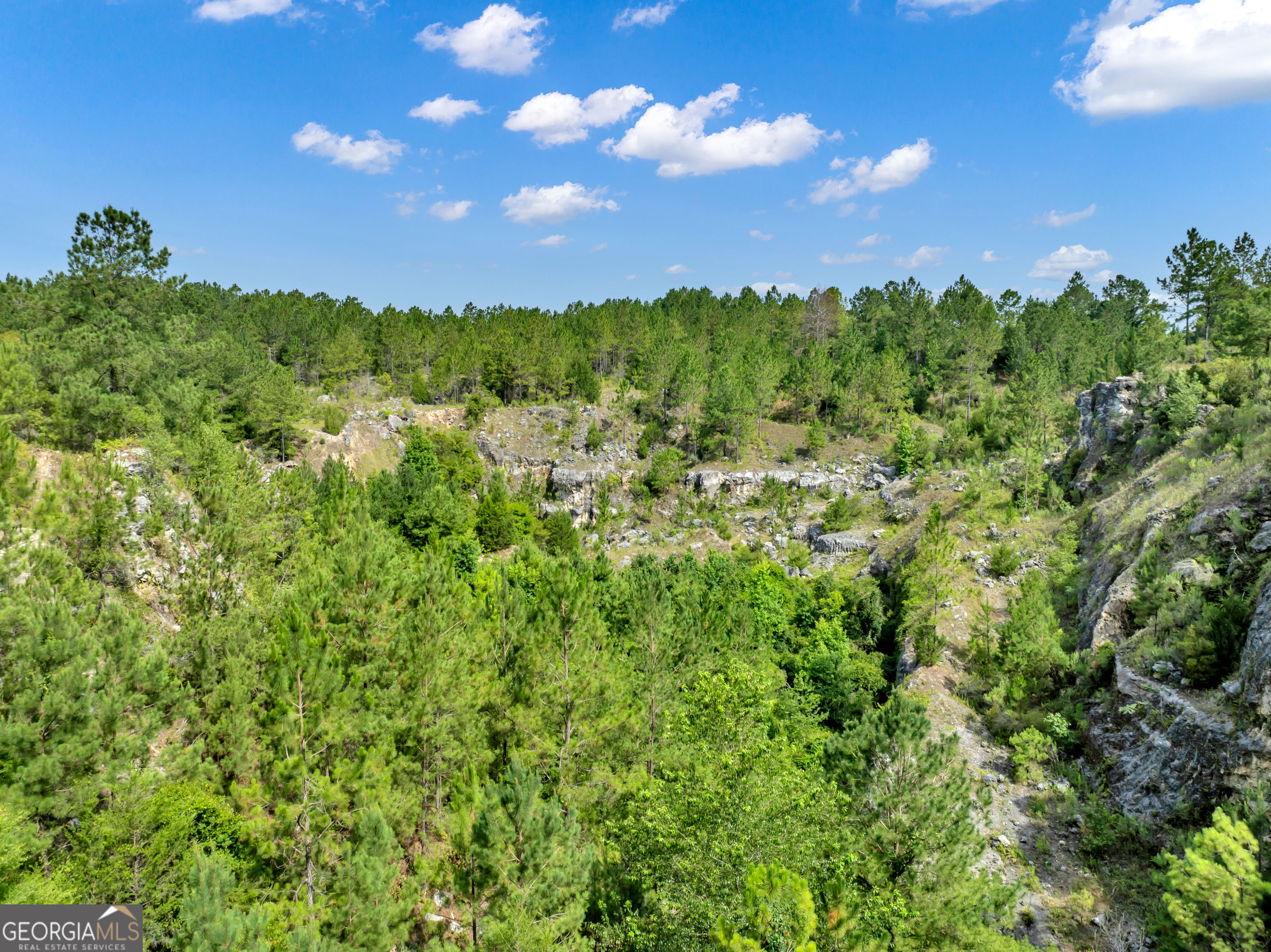 0 Harrell Road Whigham, GA 39897 - Photo 23 of 39 a view of a green field