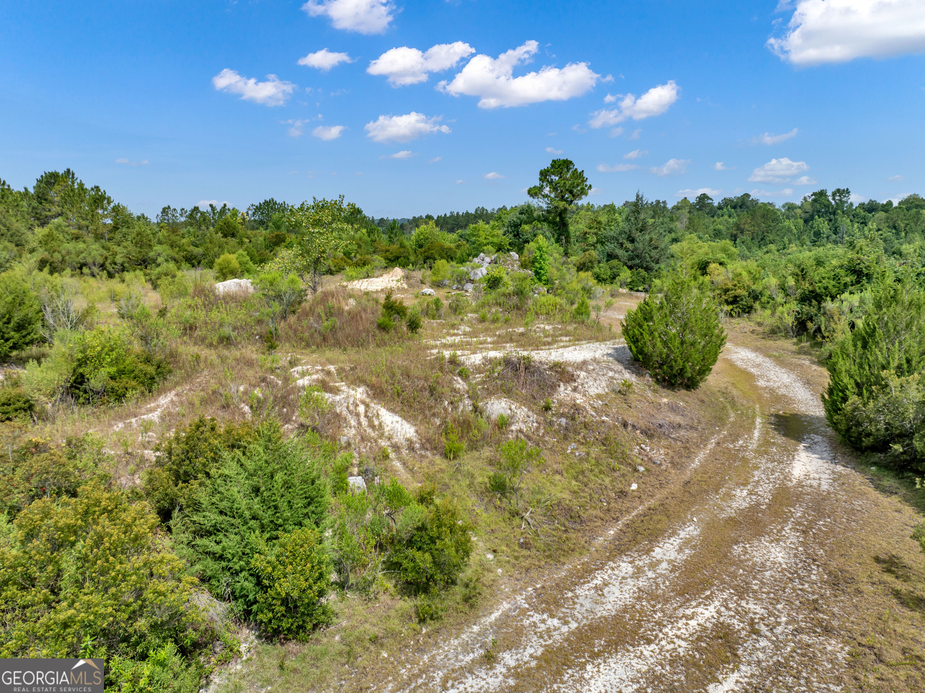 0 Harrell Road Whigham, GA 39897 - Photo 24 of 39 a view of a lake with a yard