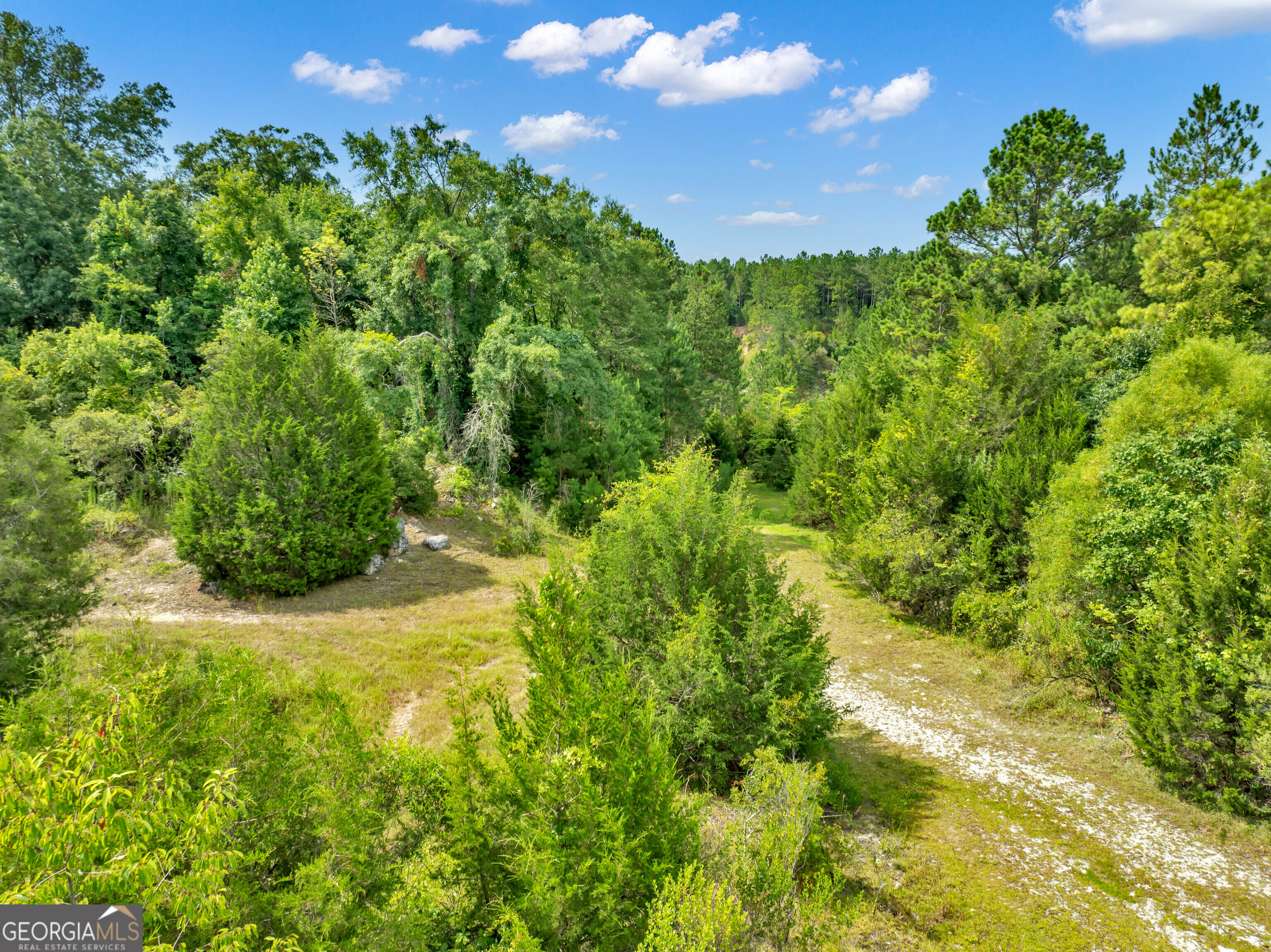 0 Harrell Road Whigham, GA 39897 - Photo 25 of 39 a view of a garden