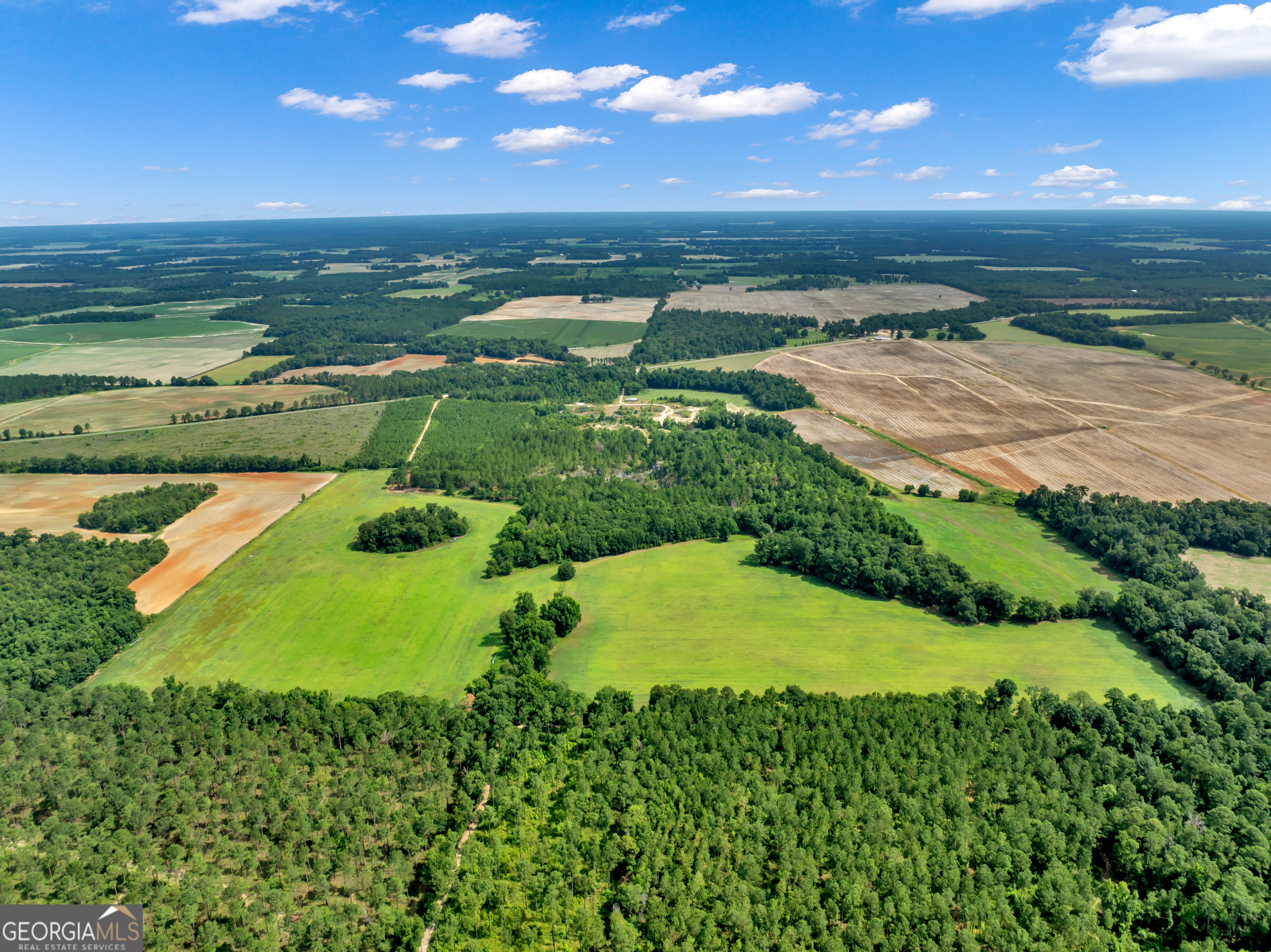 0 Harrell Road Whigham, GA 39897 - Photo 34 of 39 a view of a lake with a yard
