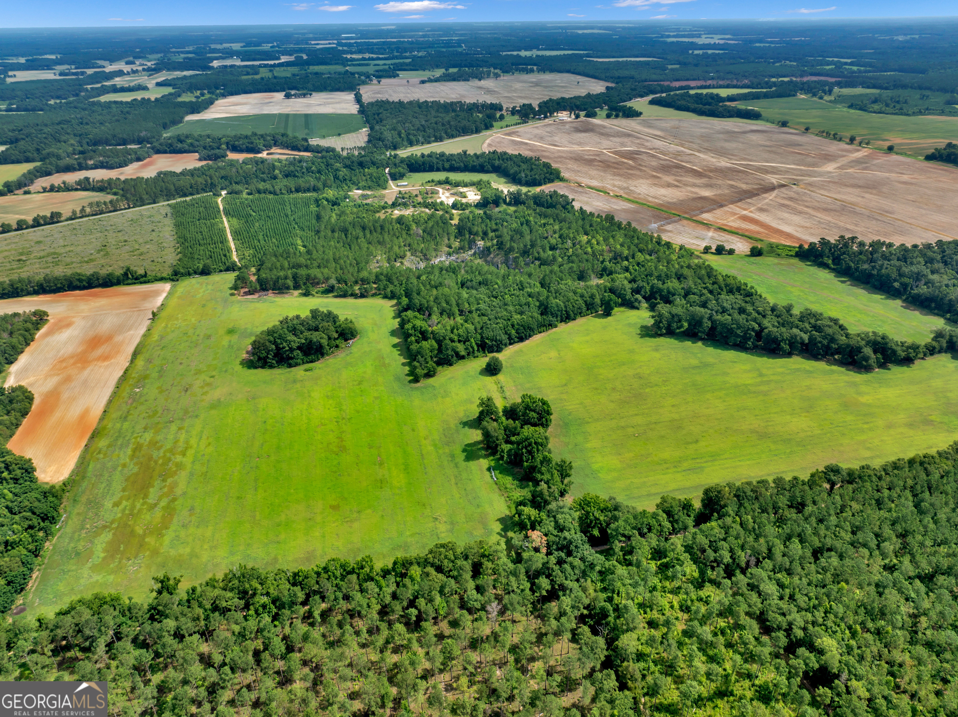 0 Harrell Road Whigham, GA 39897 - Photo 38 of 39 an aerial view of a houses with a yard