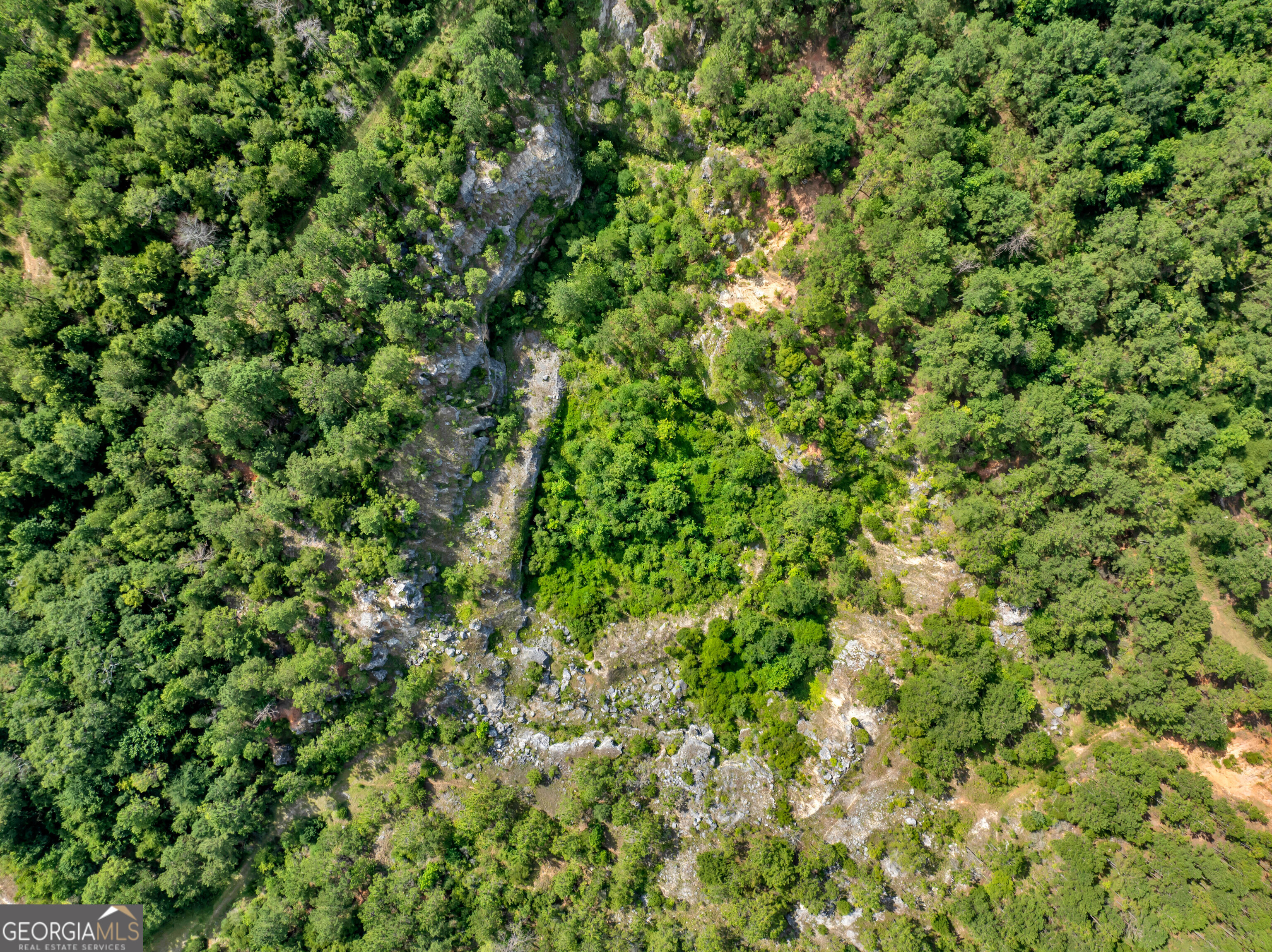0 Harrell Road Whigham, GA 39897 - Photo 7 of 39 a view of a lush green forest