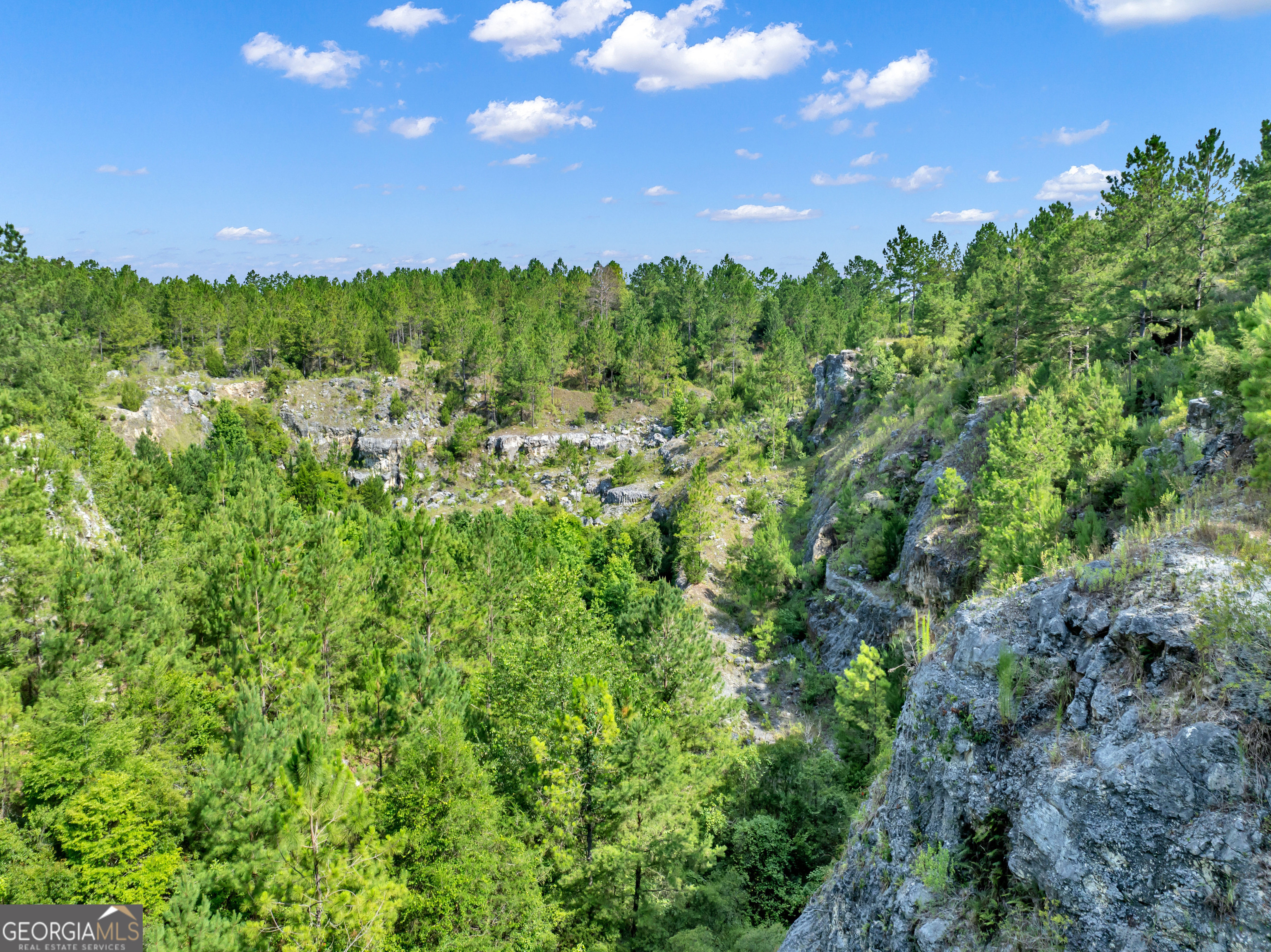 0 Harrell Road Whigham, GA 39897 - Photo 8 of 39