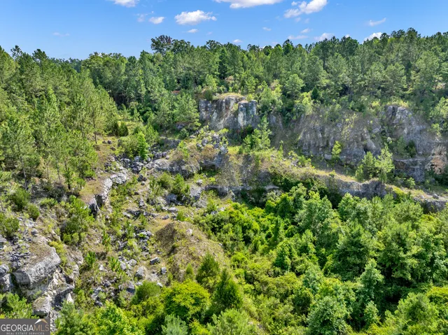 a view of a lush green forest with lots of trees