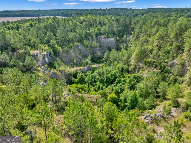 a view of a garden with a house