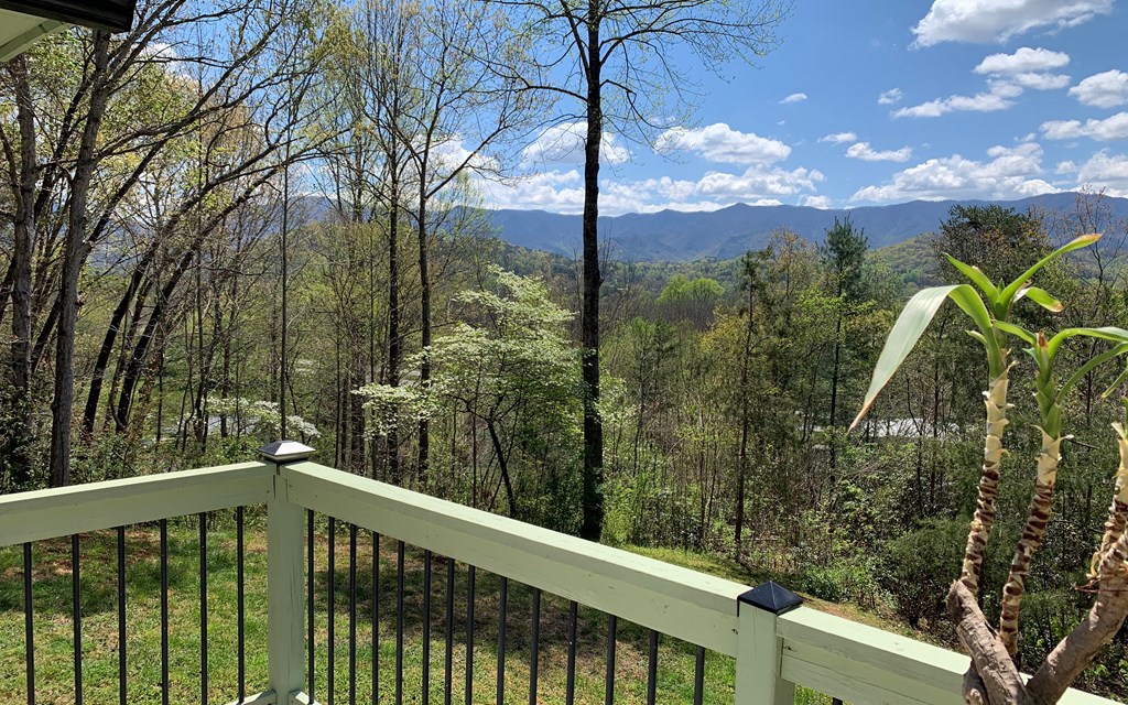 340 Holland Farm Road Andrews, NC 28901 - Photo 4 of 4 Additional View