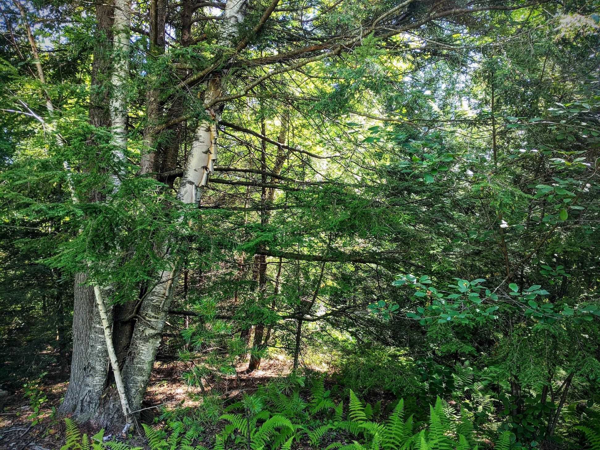 0 Brook View Road Newport, NH 03773 - Photo 5 of 11